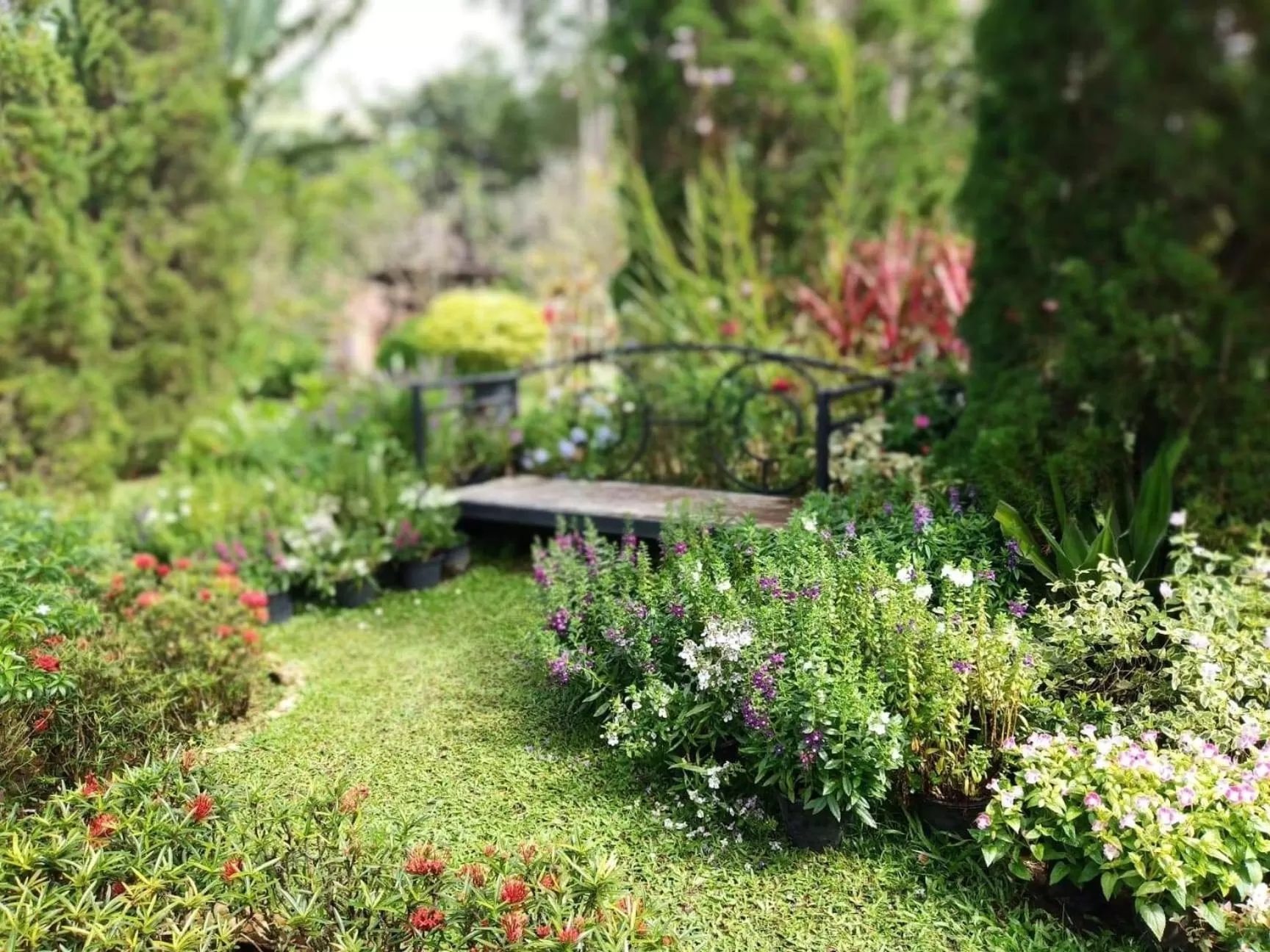 Baan JaoKorKluay บ้านเจ้ากอกล้วย