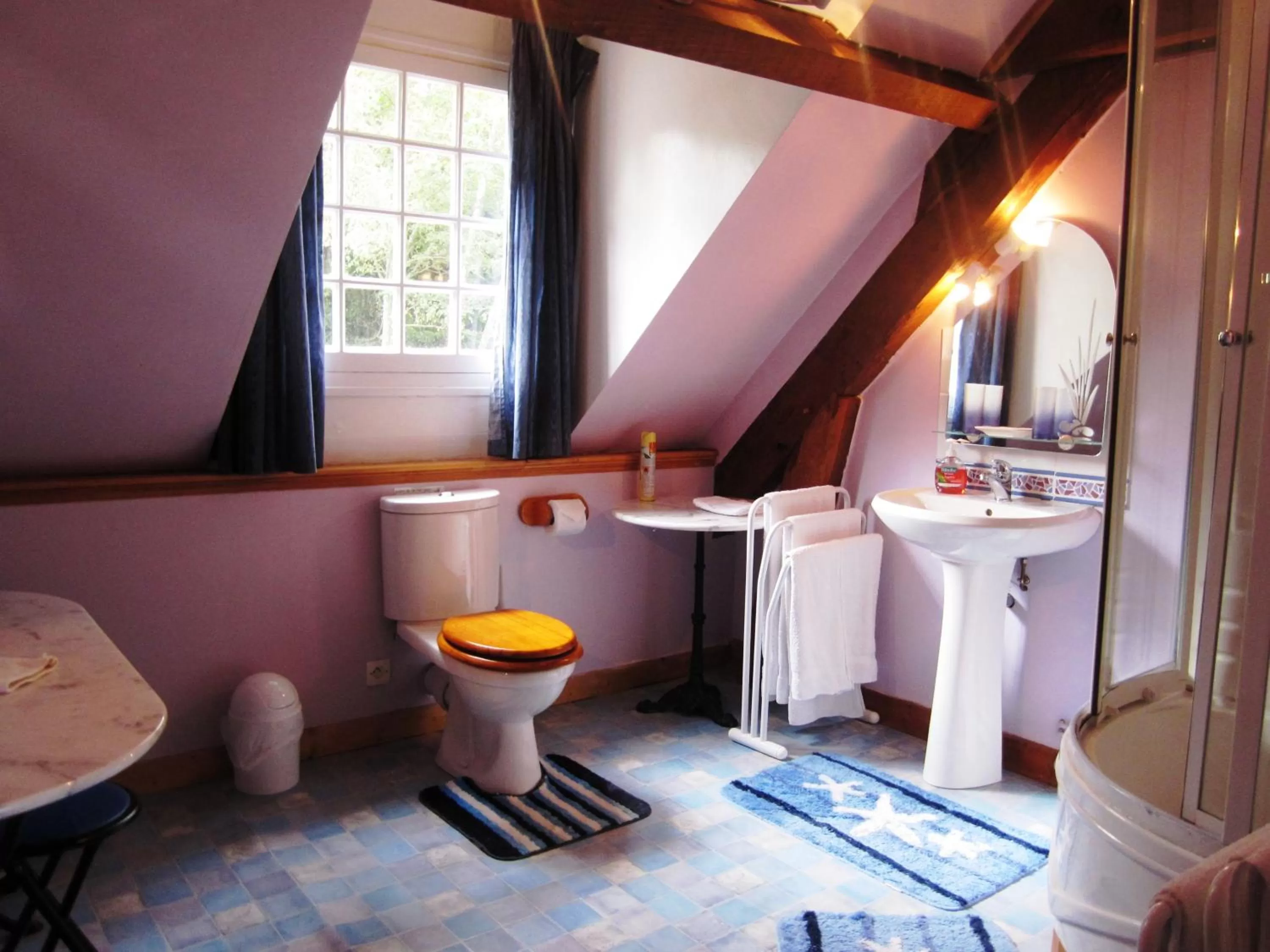 Shower in La Croix du Reh