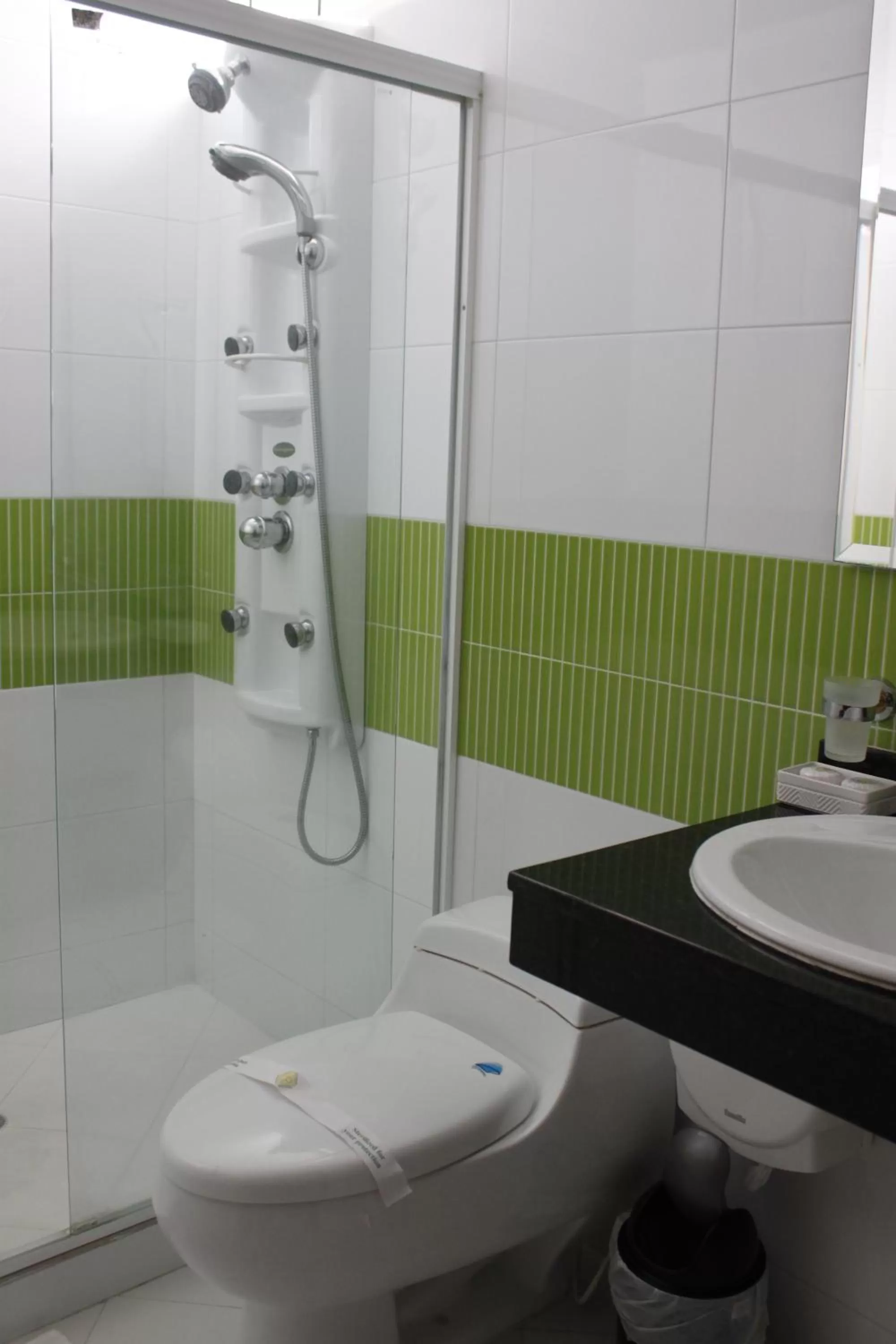 Bathroom in Hotel Palonegro