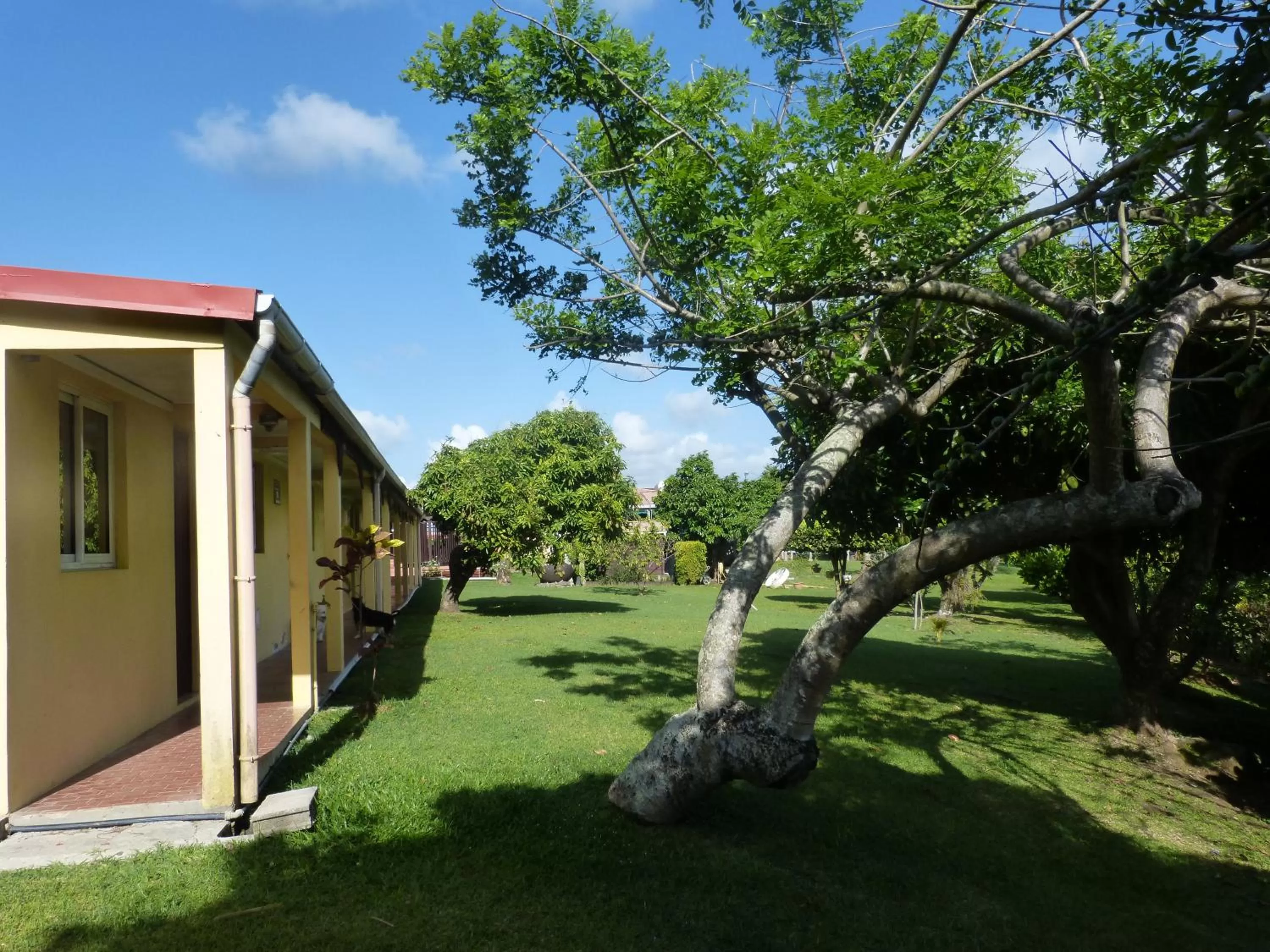 Garden in Airport Hotel