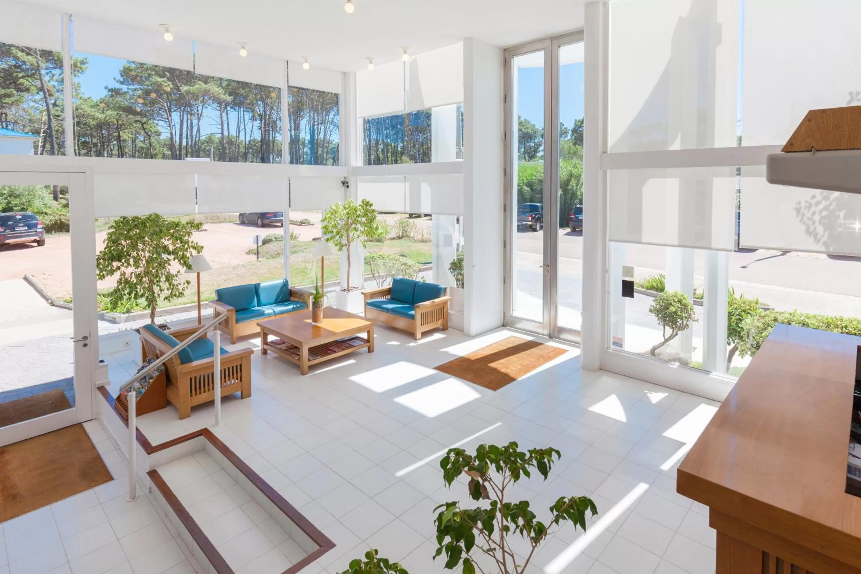Lobby or reception, Pool View in Hotel Las Olas Resort