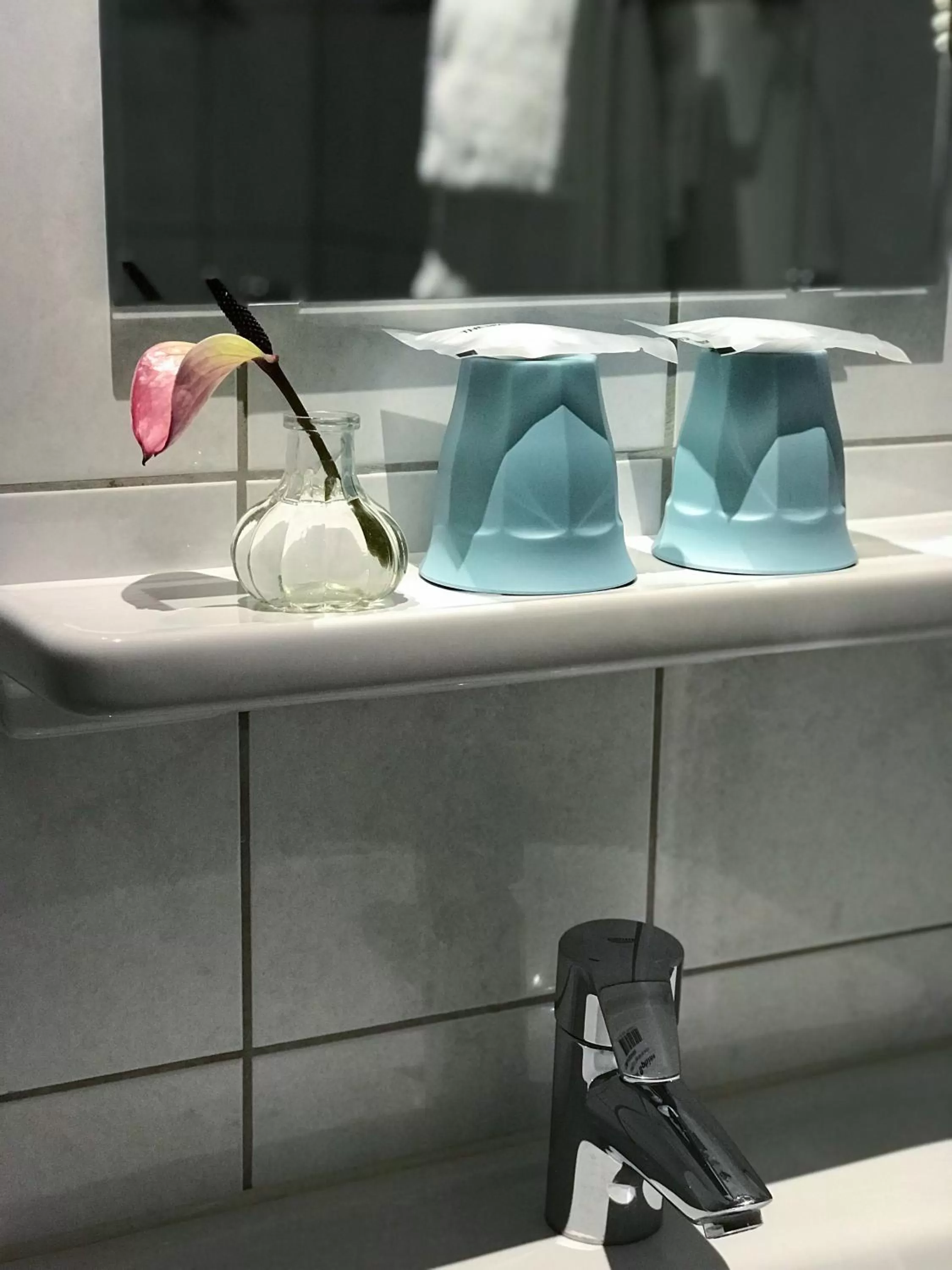 Area and facilities in Hotel Luxer