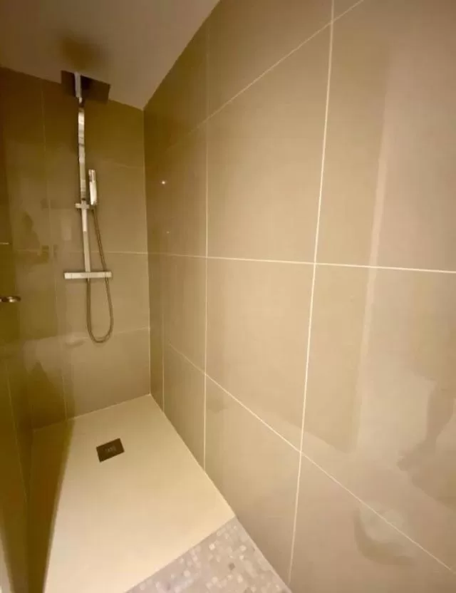 Shower in La cactée singulière