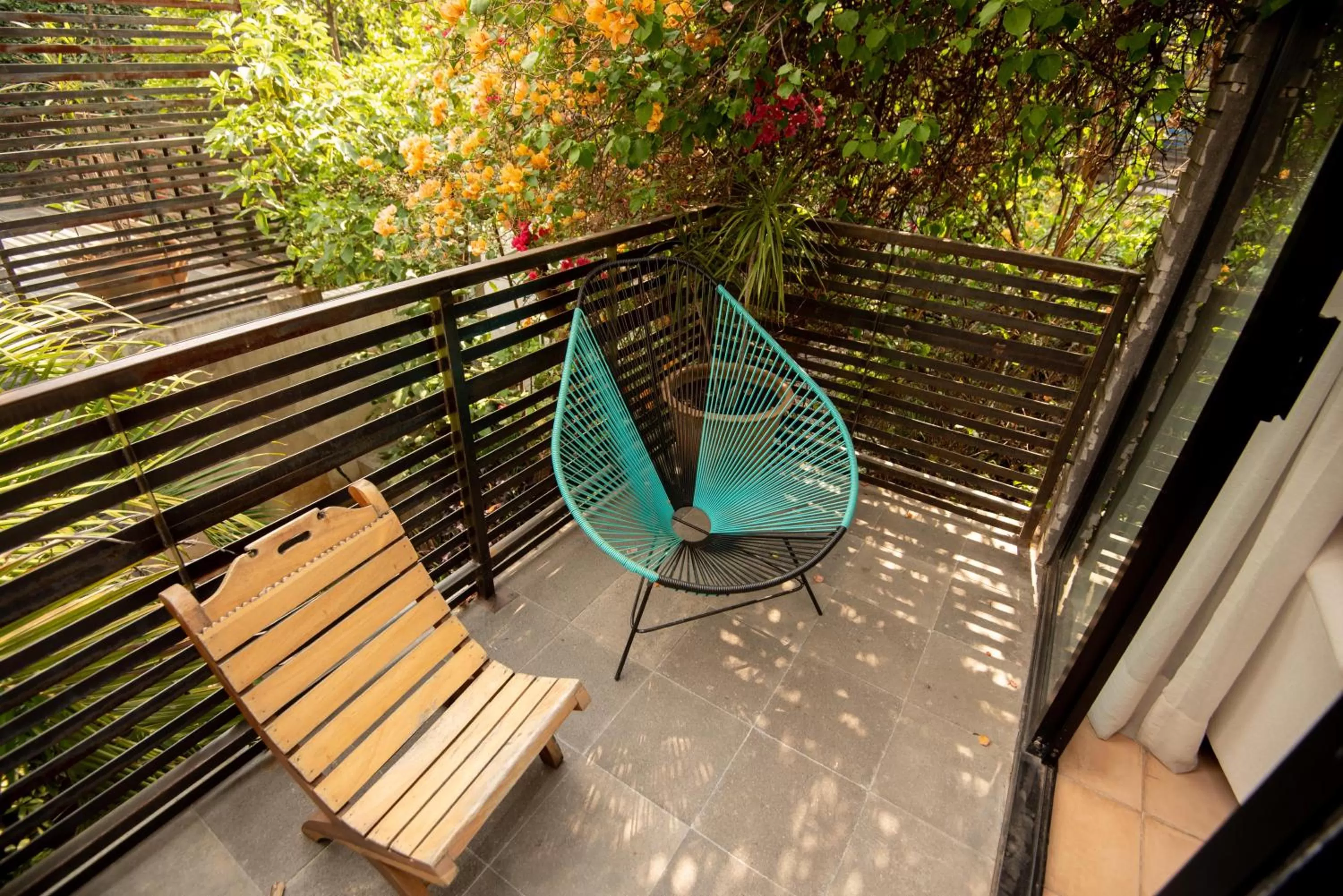 Nardazul "Casa de Sueños"