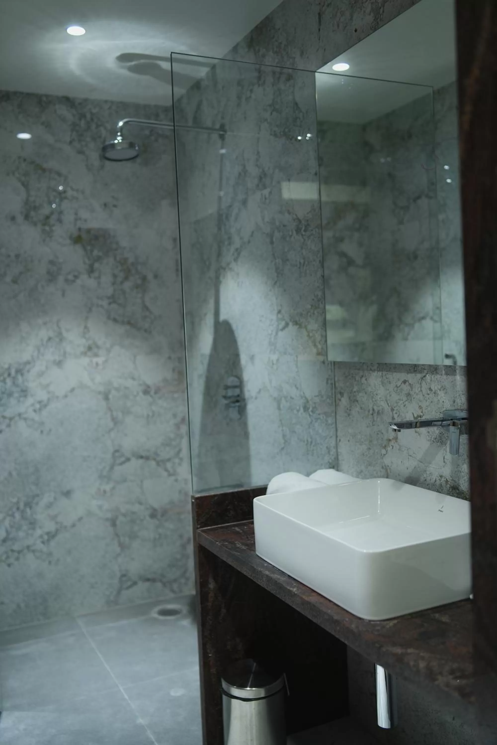 Shower in Four Petals Executive by LHMS