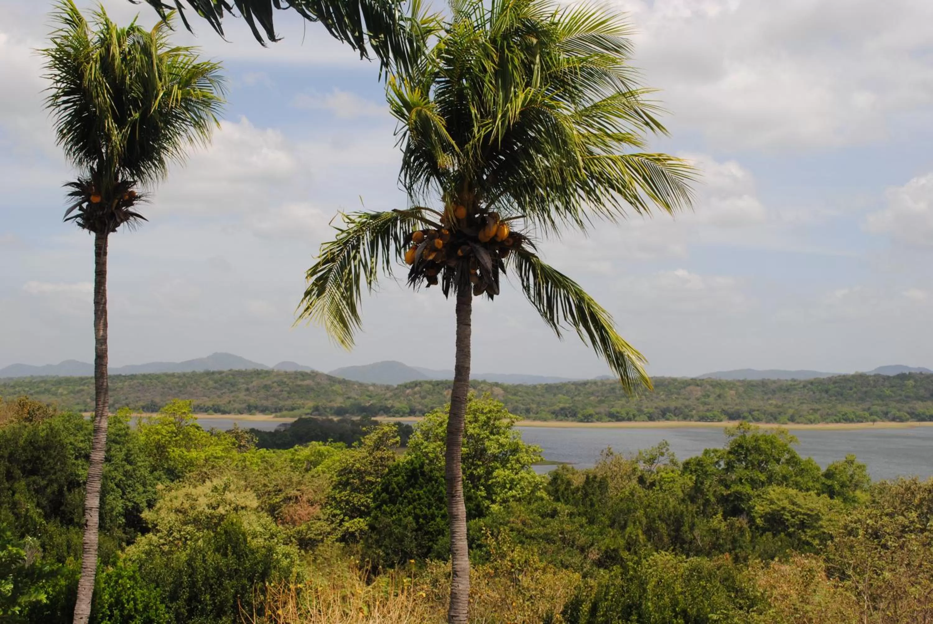 Lake view in Lavendish Lake Giritale - Former Giritale Hotel