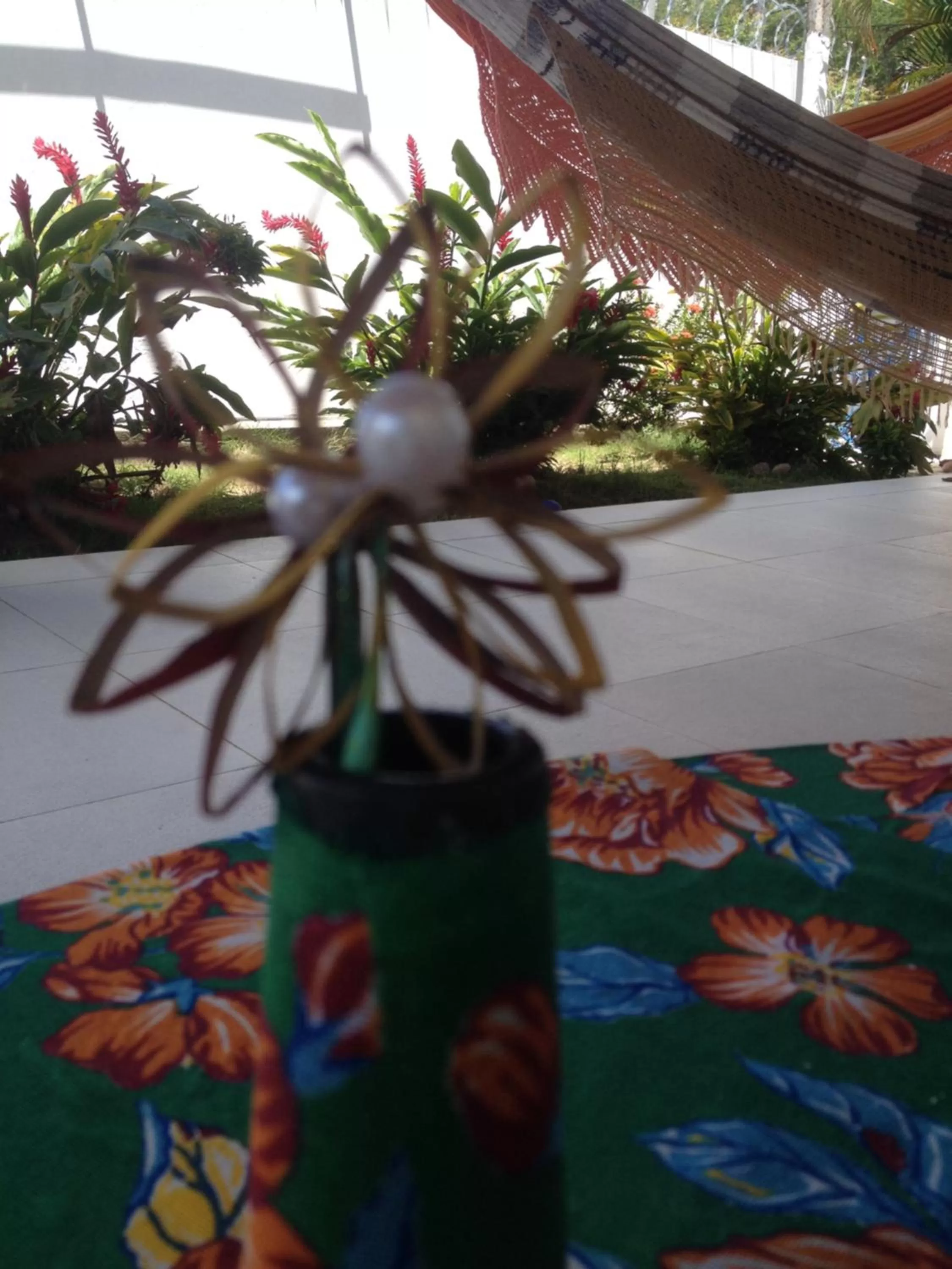 Garden in Hostel Das Canárias