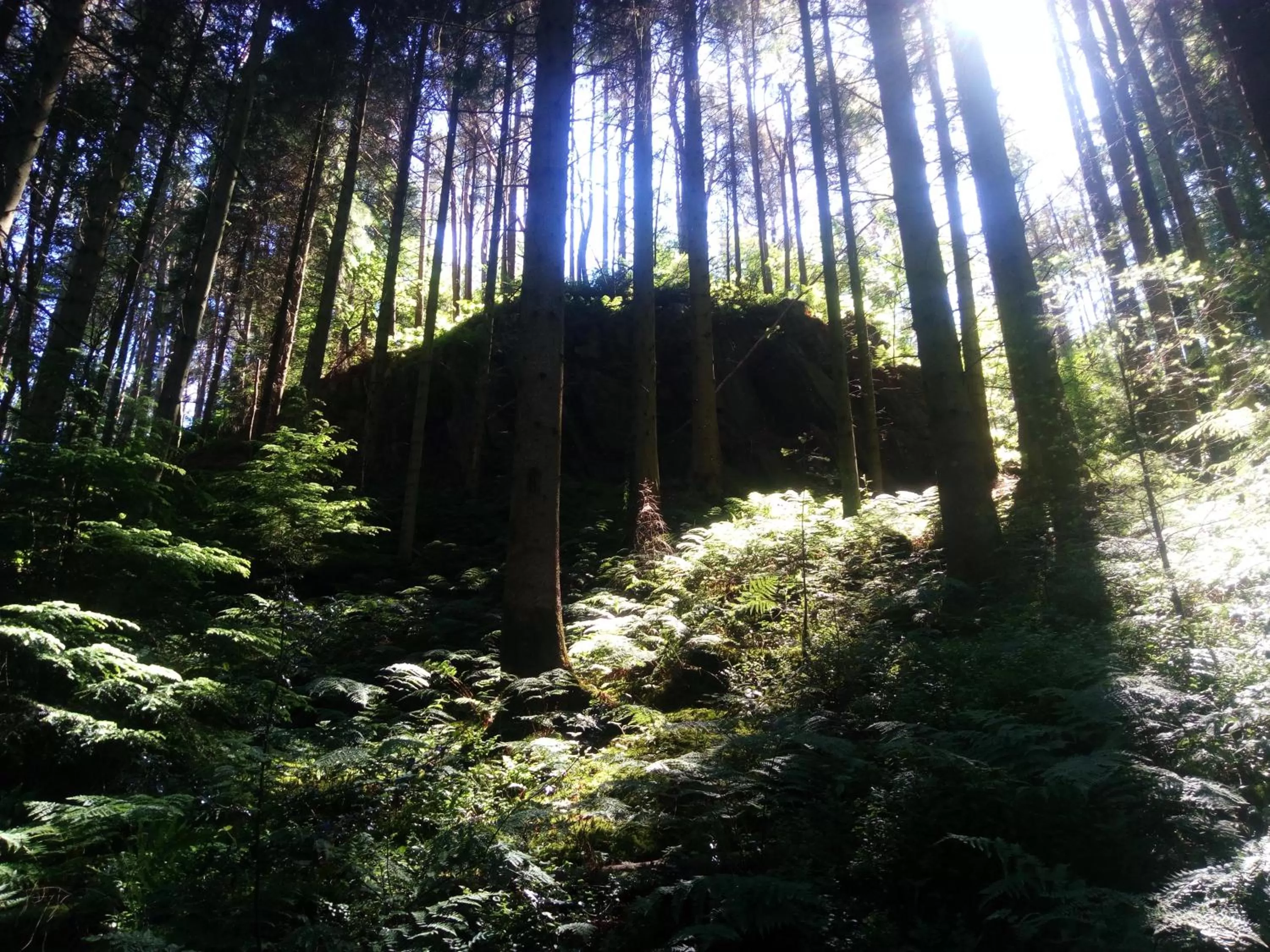 Nearby landmark in Aberconwy House B&B
