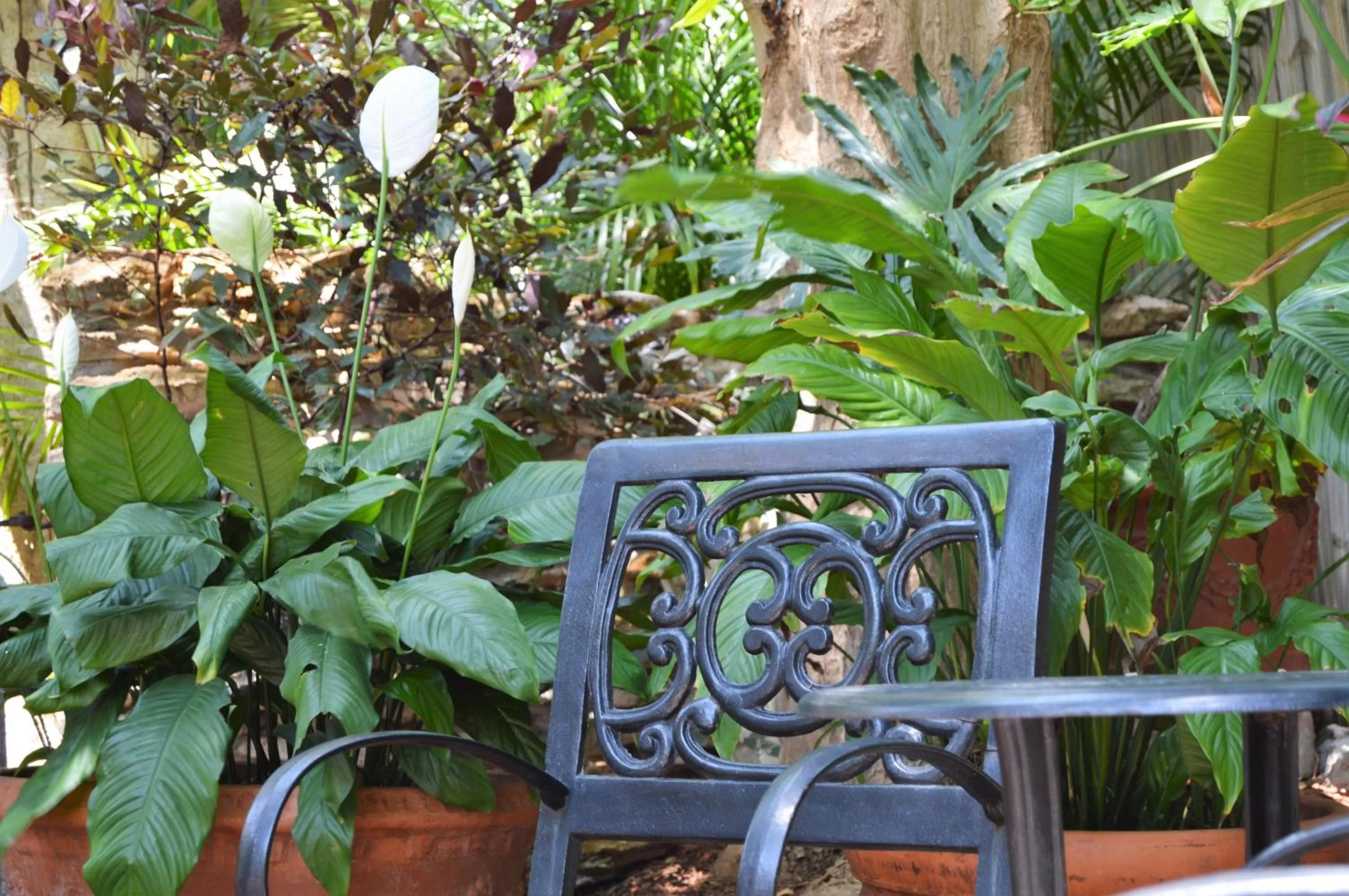 Decorative detail in Douglas House