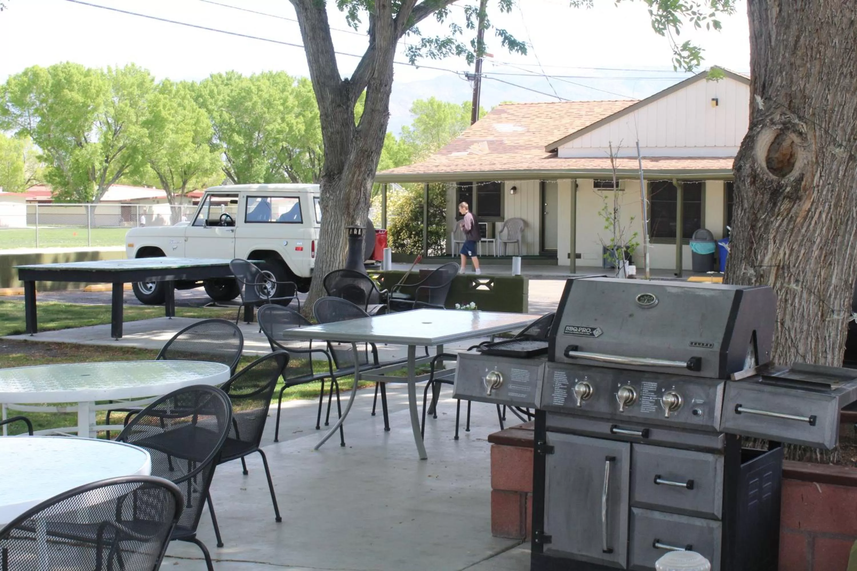 BBQ facilities in Trees Motel