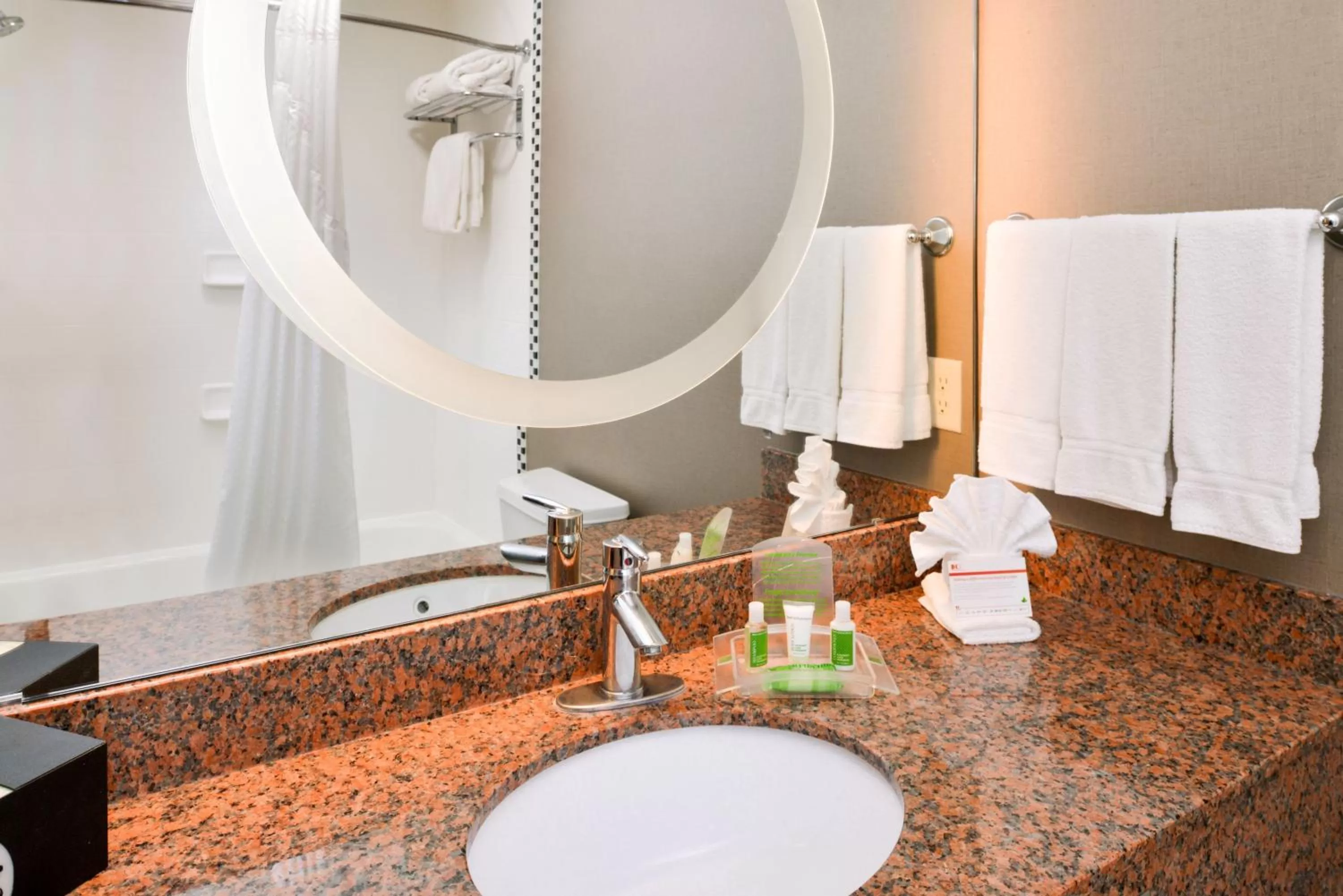 Bathroom in The Holiday Inn Amarillo West Medical Center by IHG