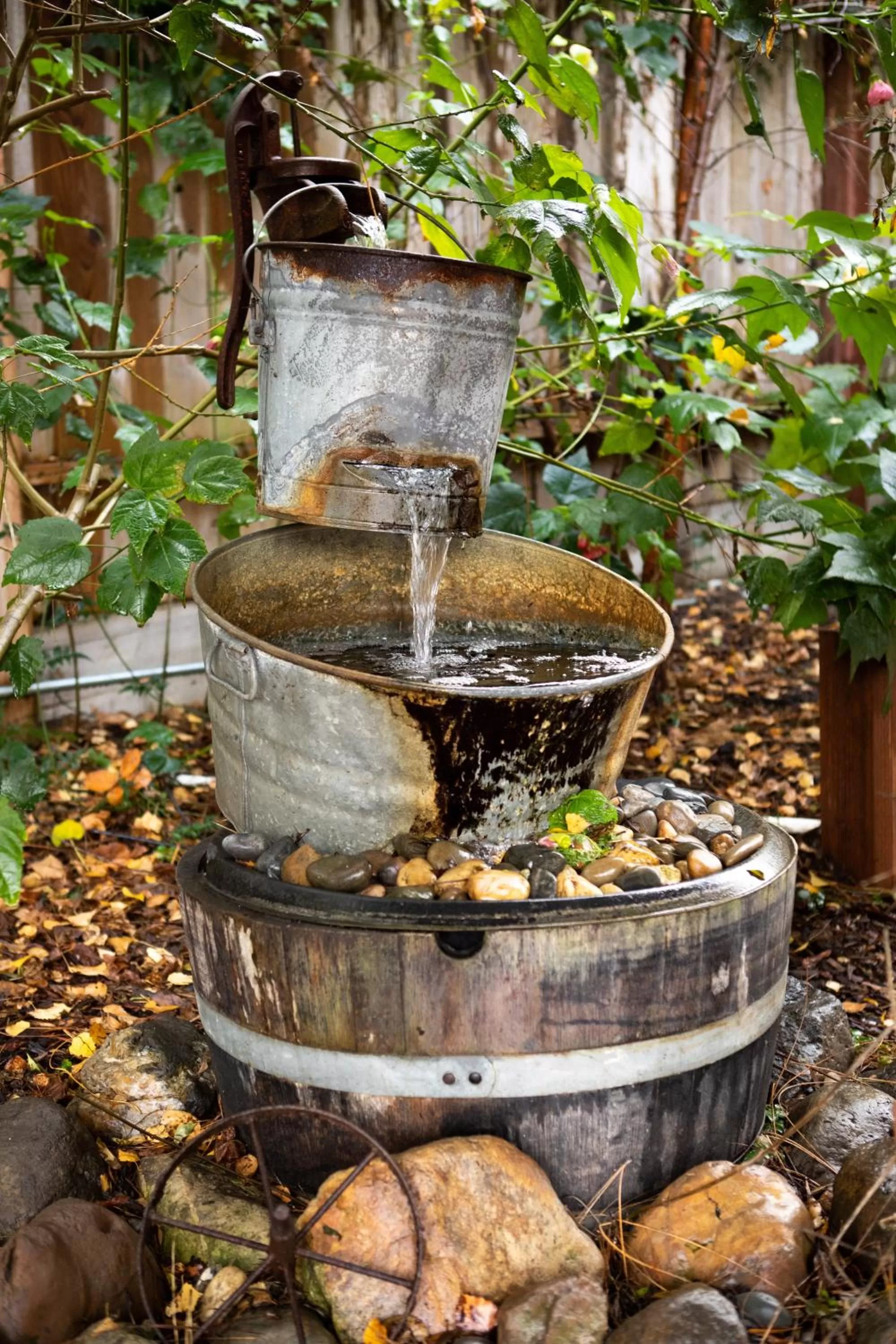 Garden view in J Patrick Inn