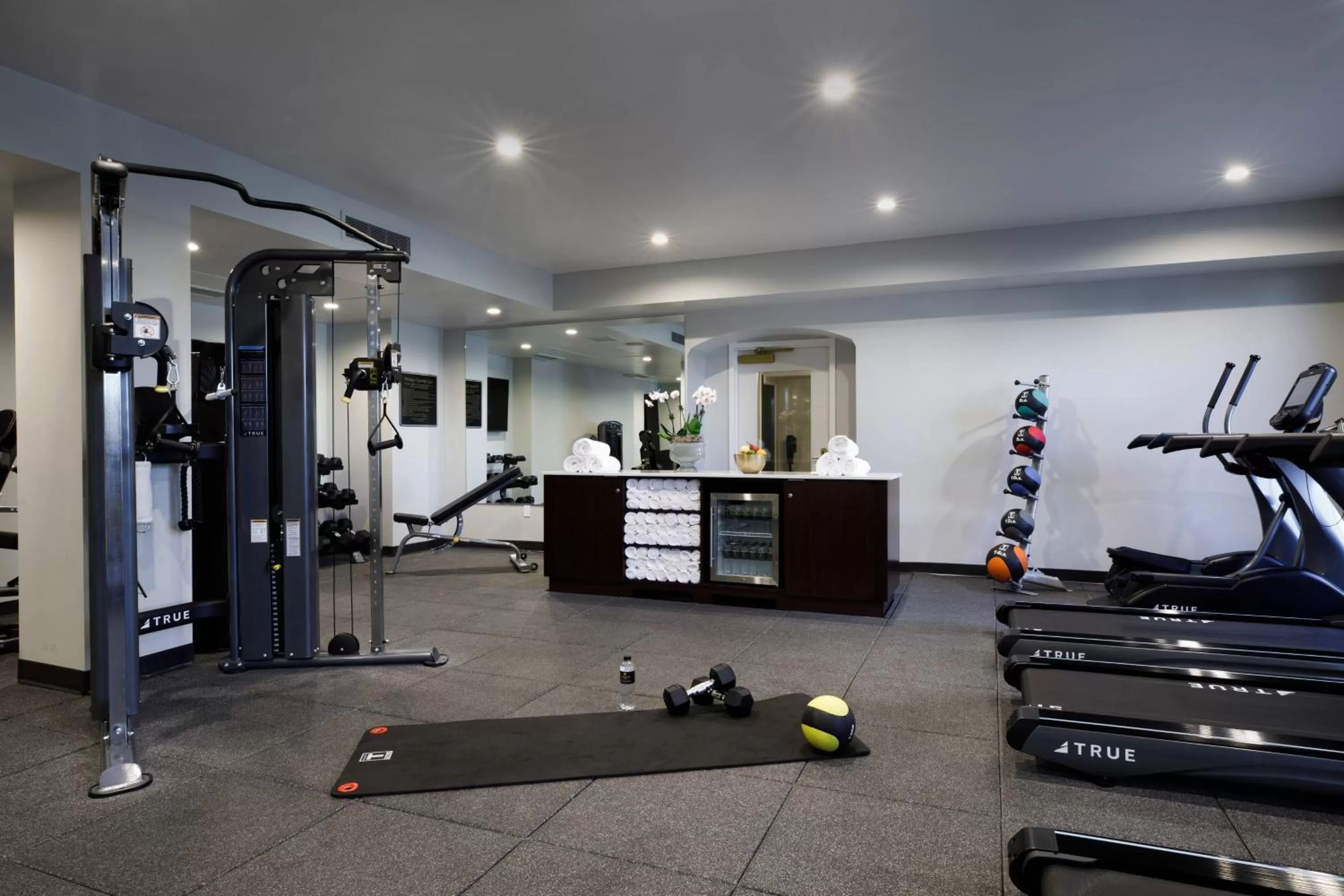 Fitness centre/facilities in Hotel Carmichael, Autograph Collection