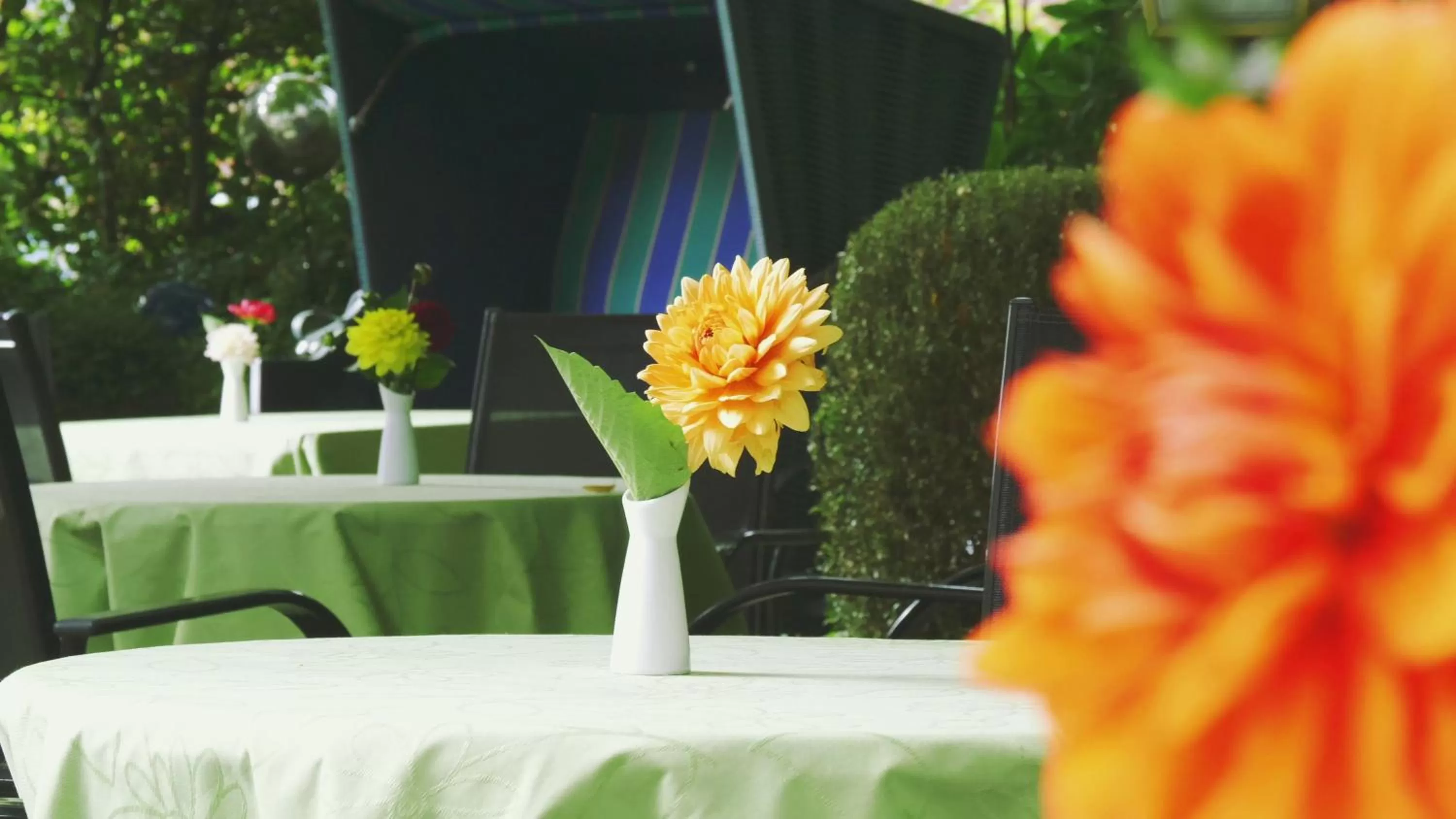 Restaurant/places to eat in Hotel zur Bever