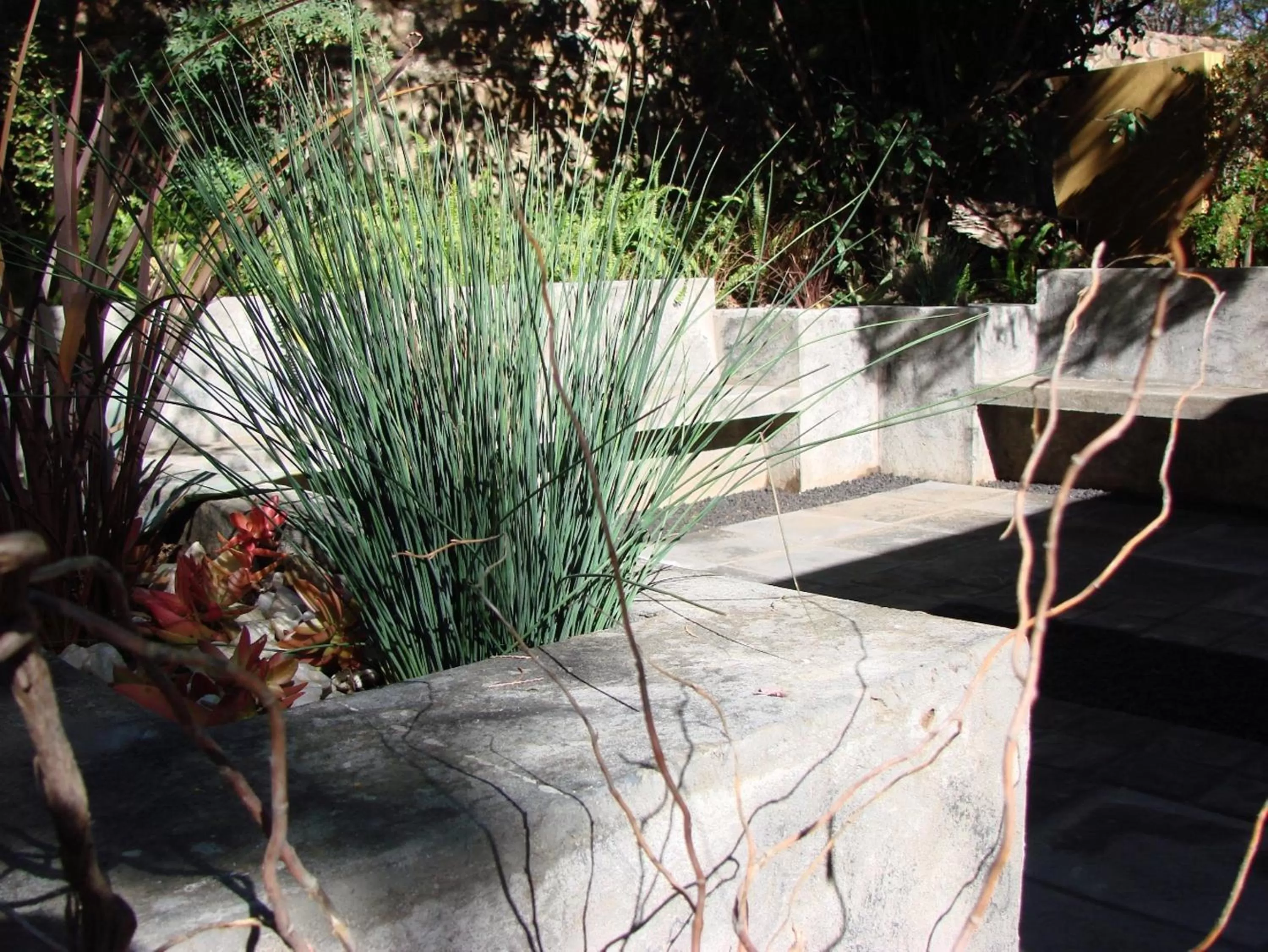 BBQ facilities, Garden in Jedidja Bed and Breakfast