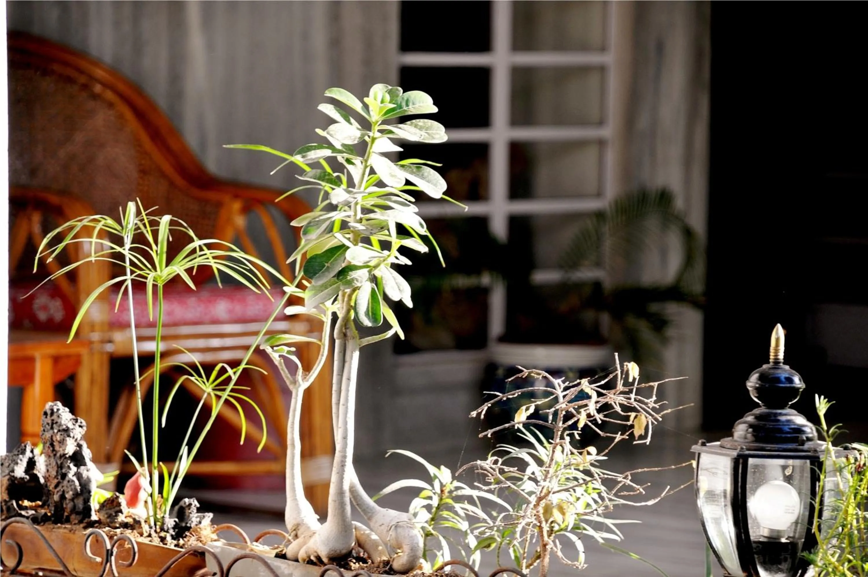 Area and facilities in Tara Niwas