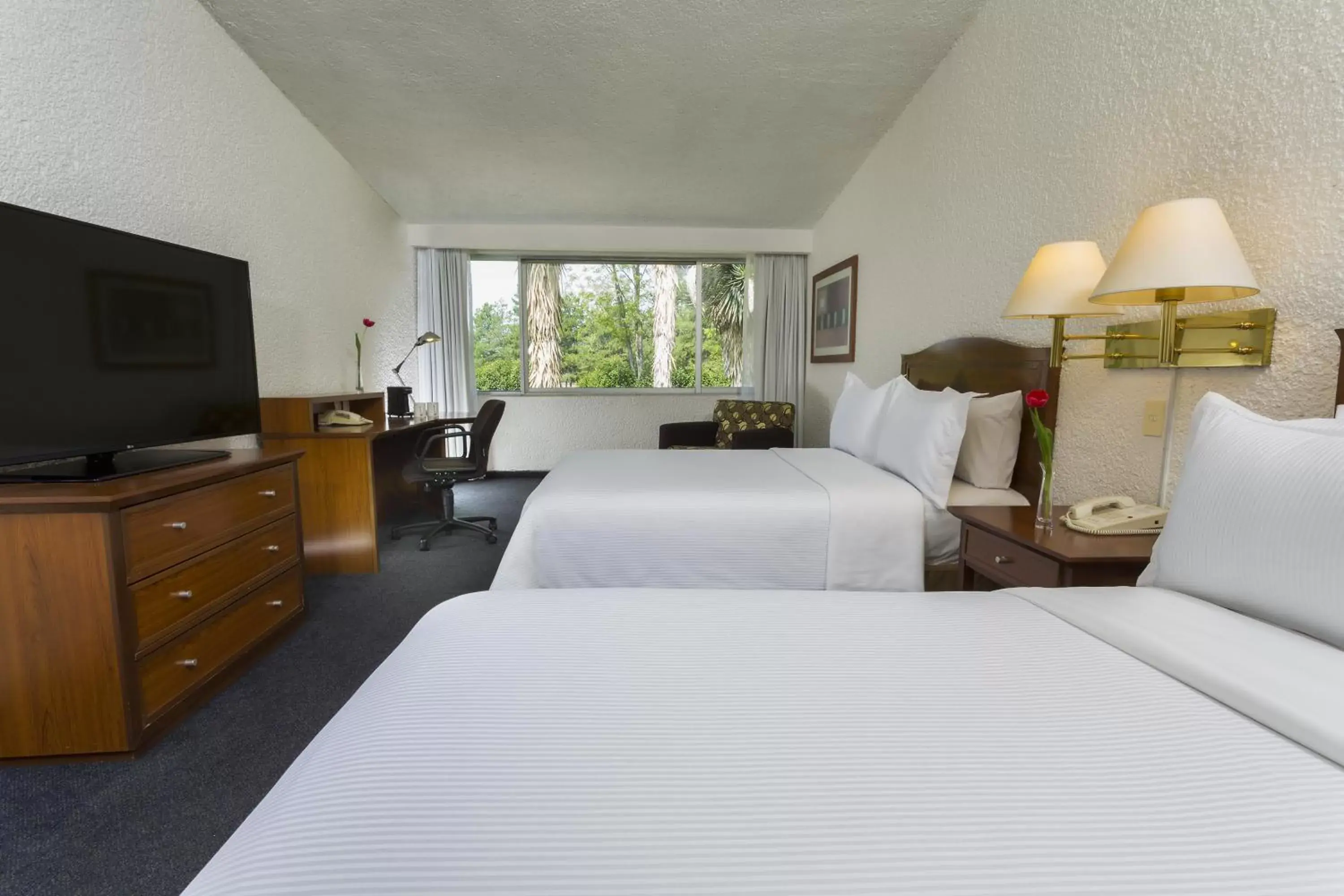 Double Room with Two Double Beds in Gamma Pachuca Double Room with Two Double Beds in Gamma Pachuca