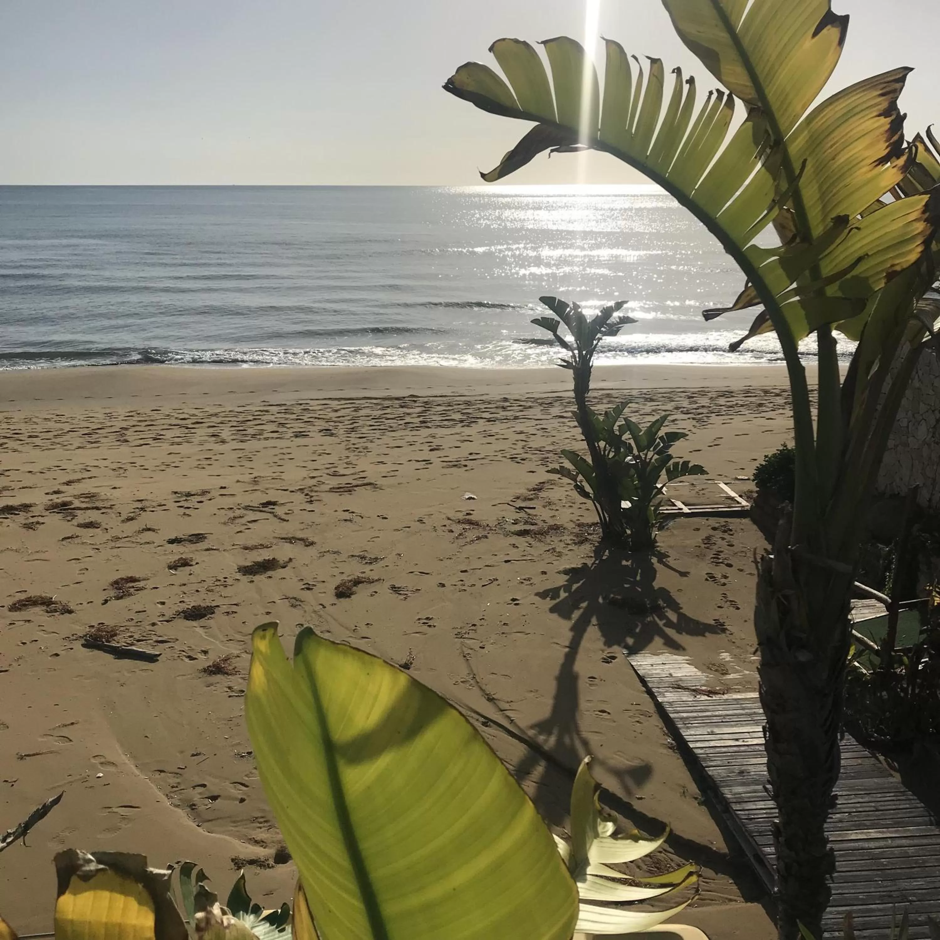 Property building, Beach in CasapiuHolidaySicilia-Adults Only