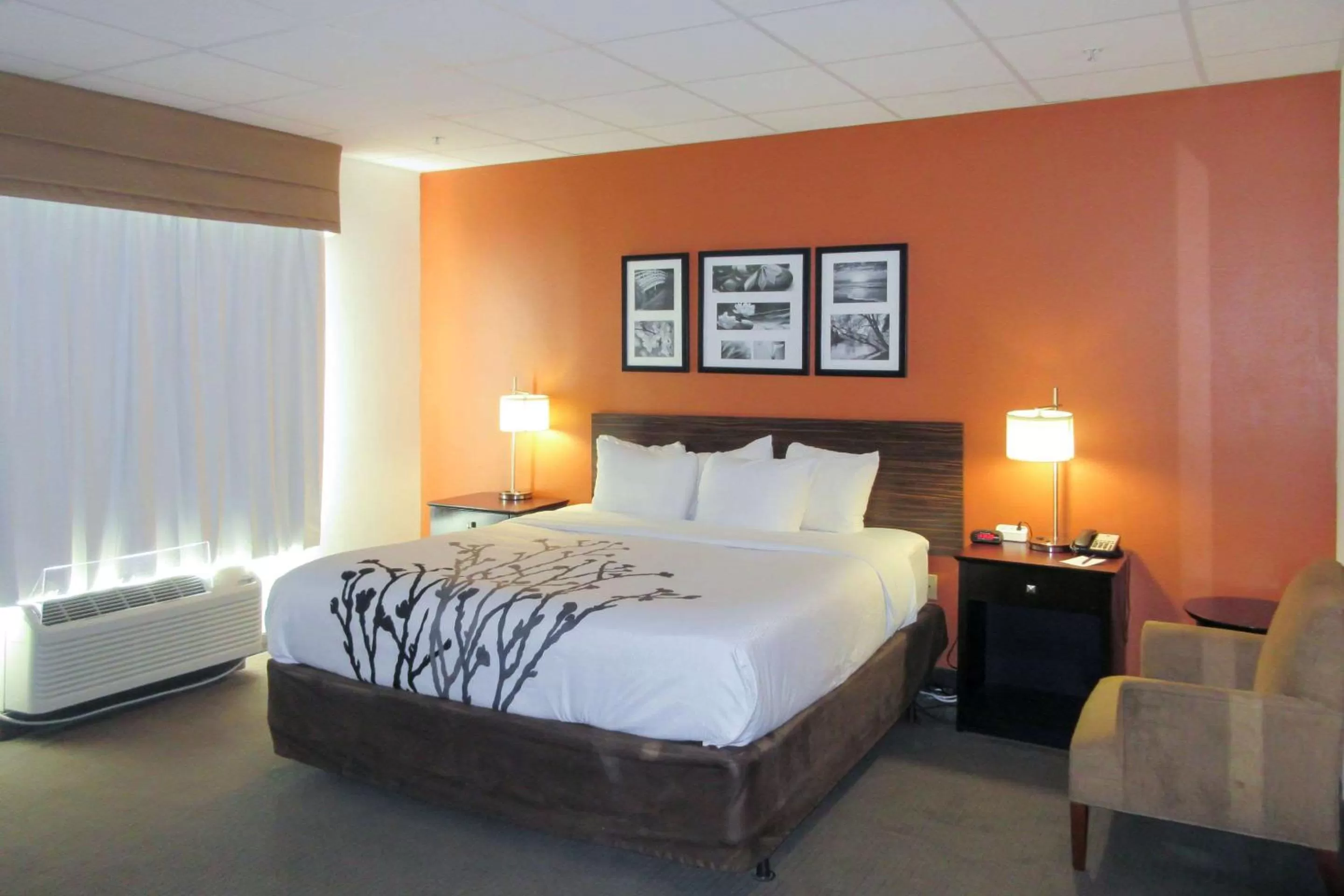 Photo of the whole room, Bed in Sleep Inn & Suites Ft Lauderdale International Airport