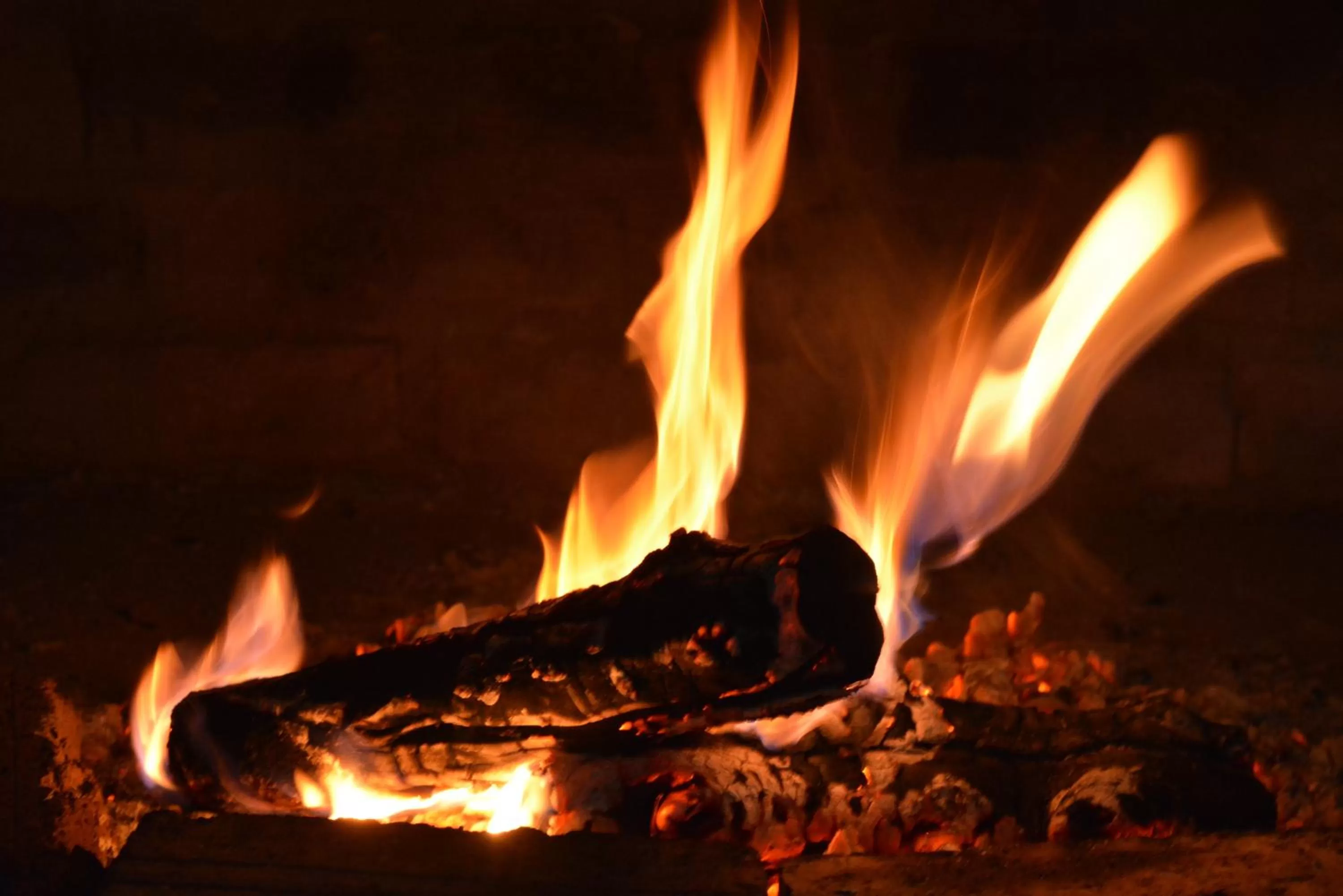 Winter in Travellers Rest