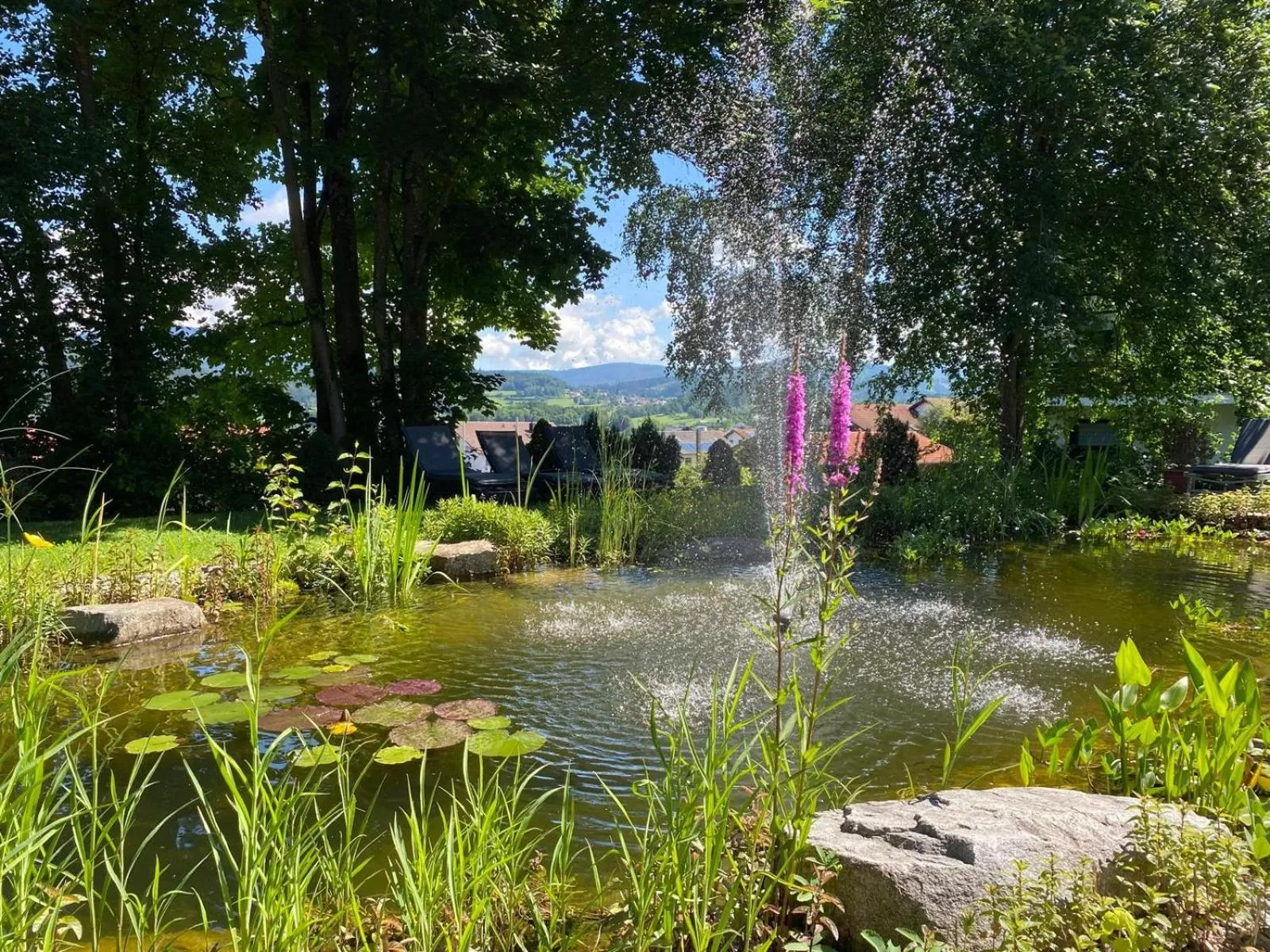 Patio, Garden in Hotel Sonnenhof - Superior