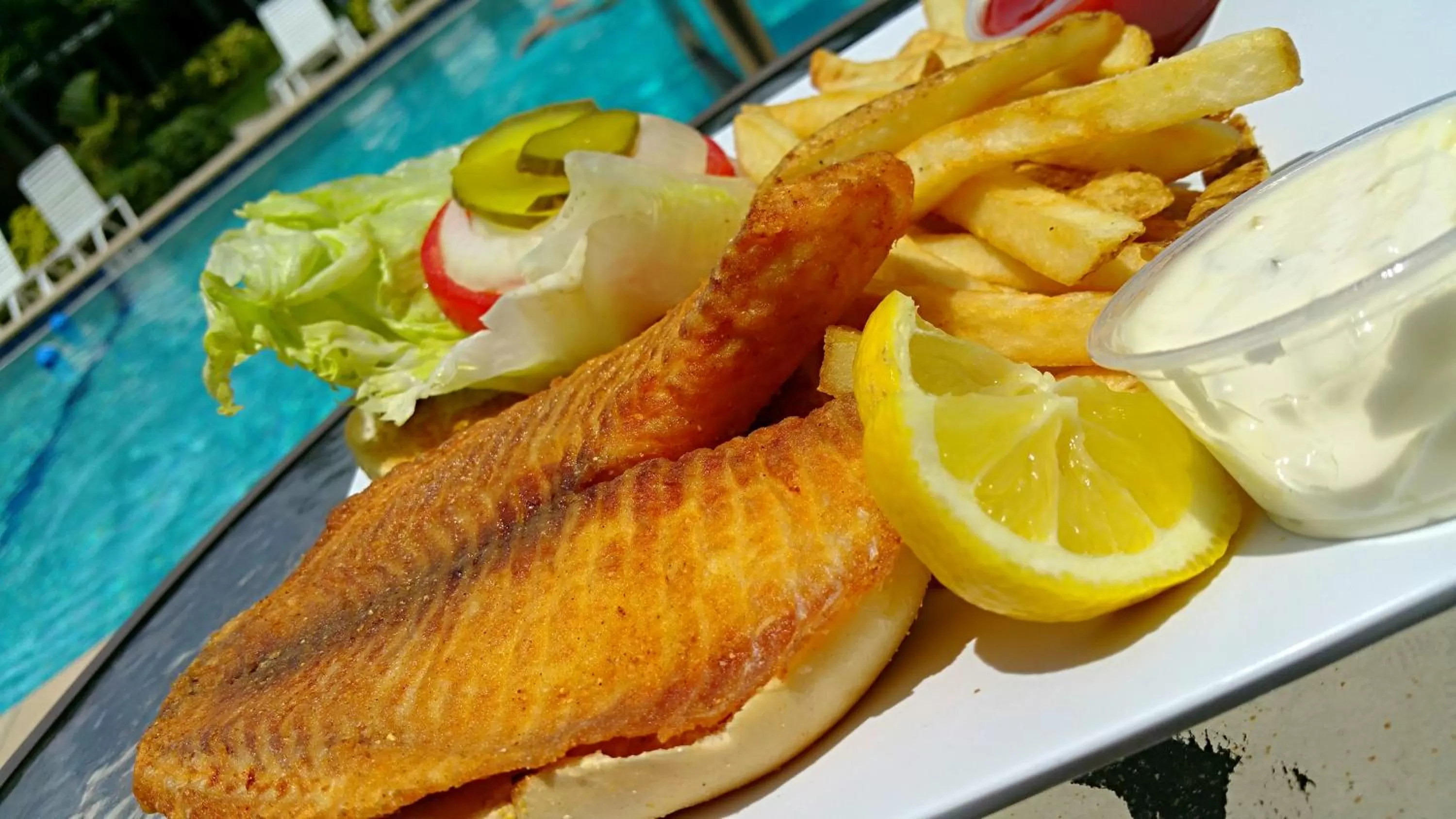 Lounge or bar in Dolphin Key Resort - Cape Coral