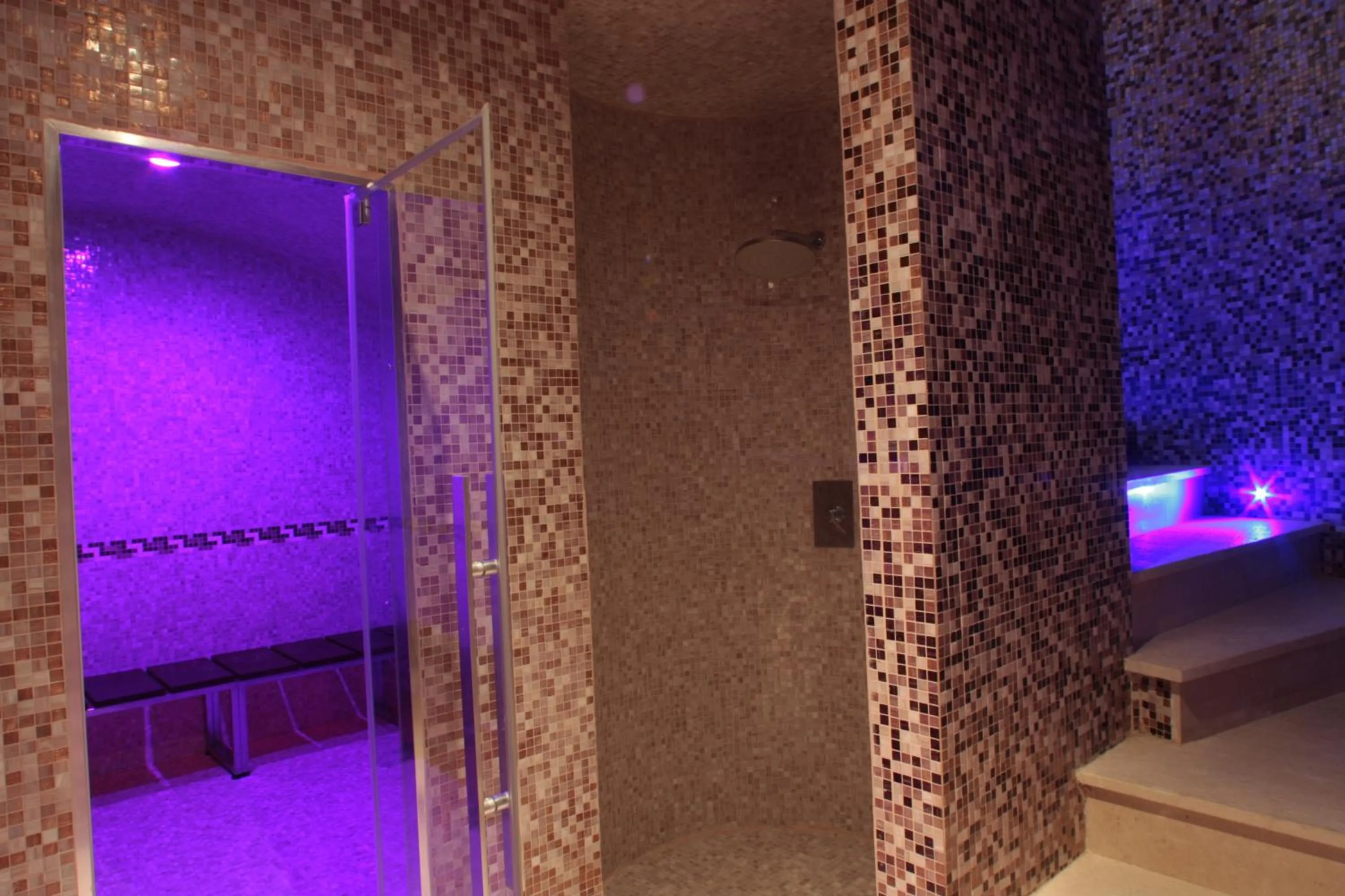 Spa and wellness centre/facilities in Palace Hotel San Michele