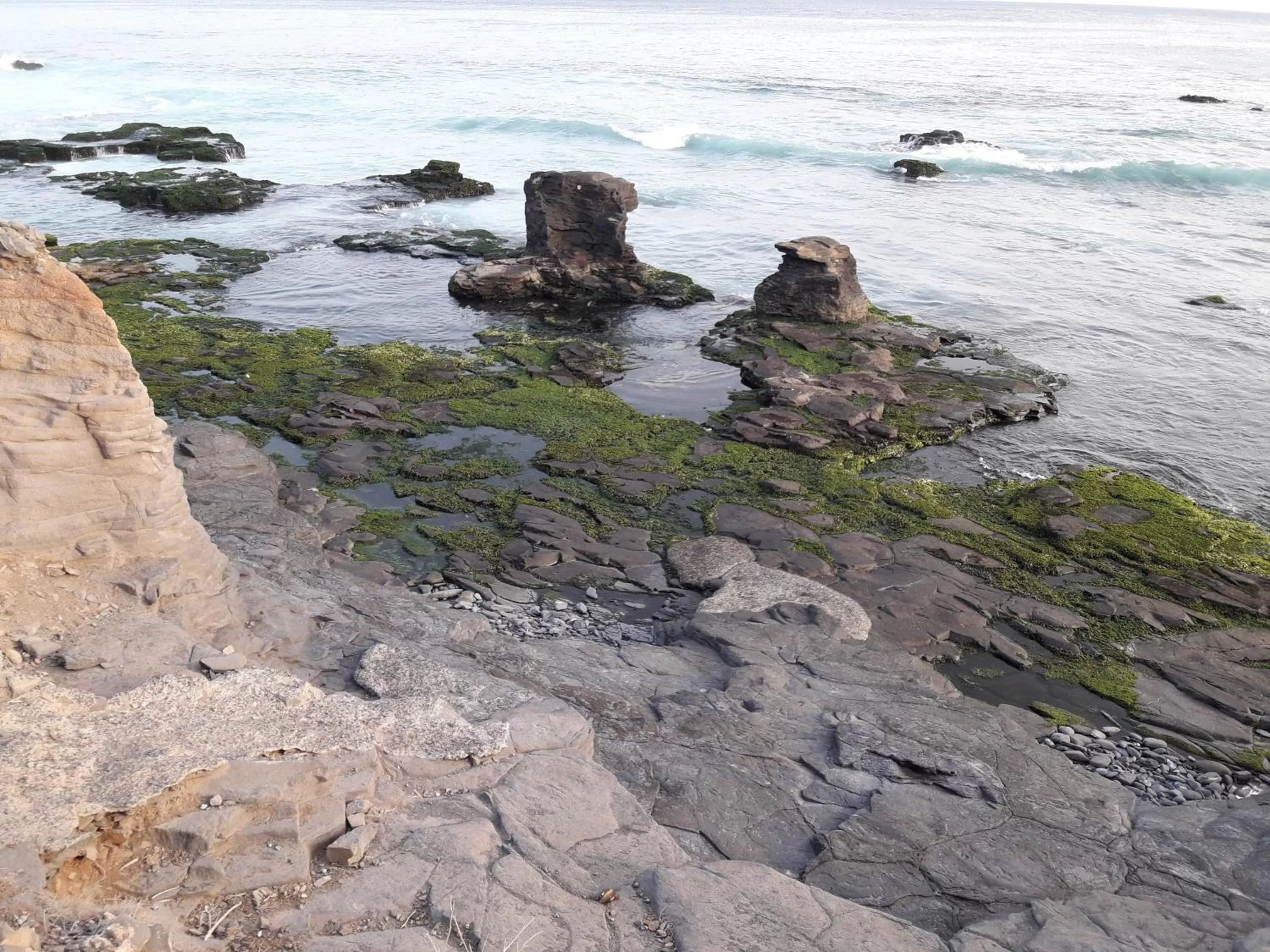 Beach in LT Aparthotel