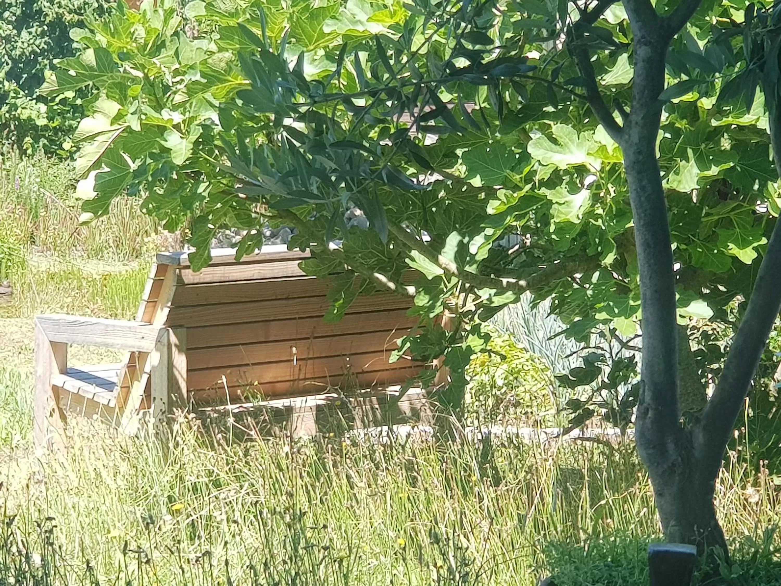 Garden in Blue Wall BnB