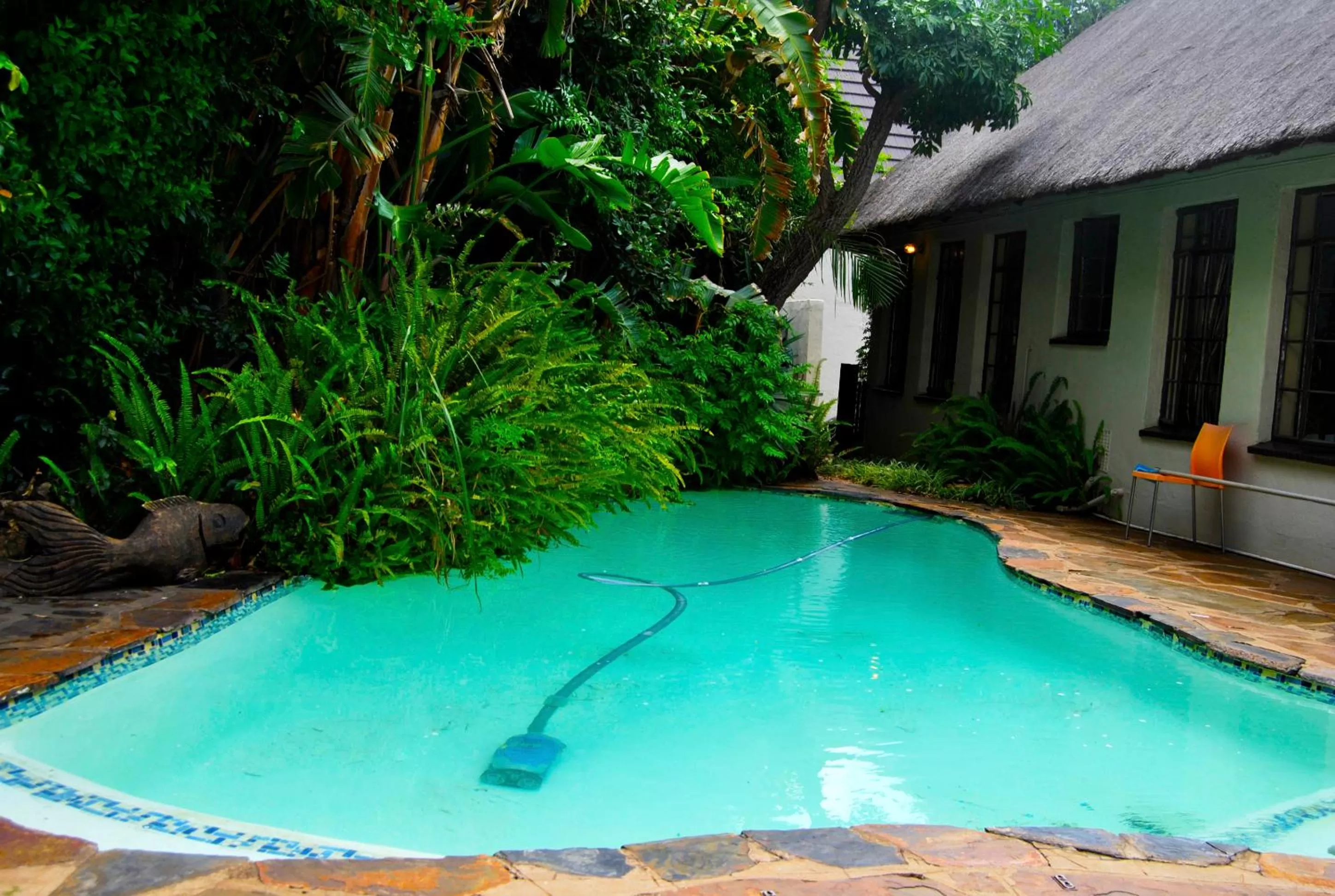 Swimming Pool in Birch Tree Cottage
