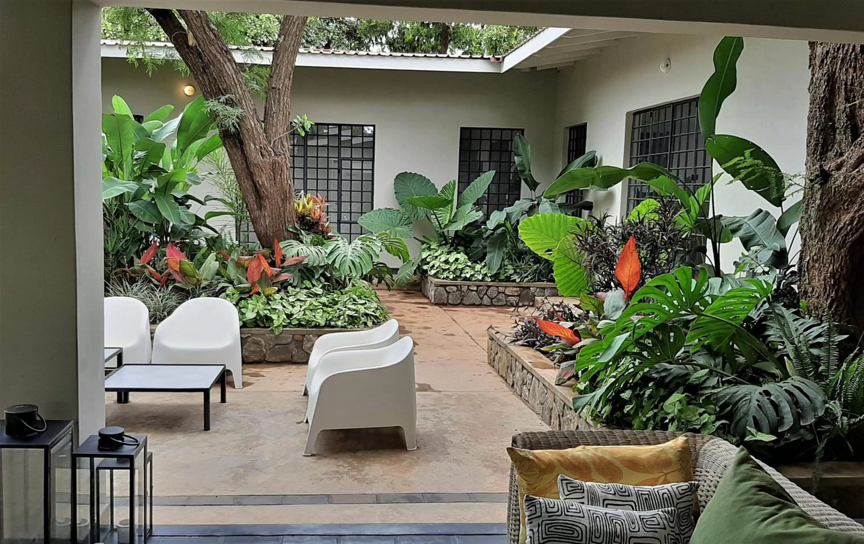 Patio in Mitengo House