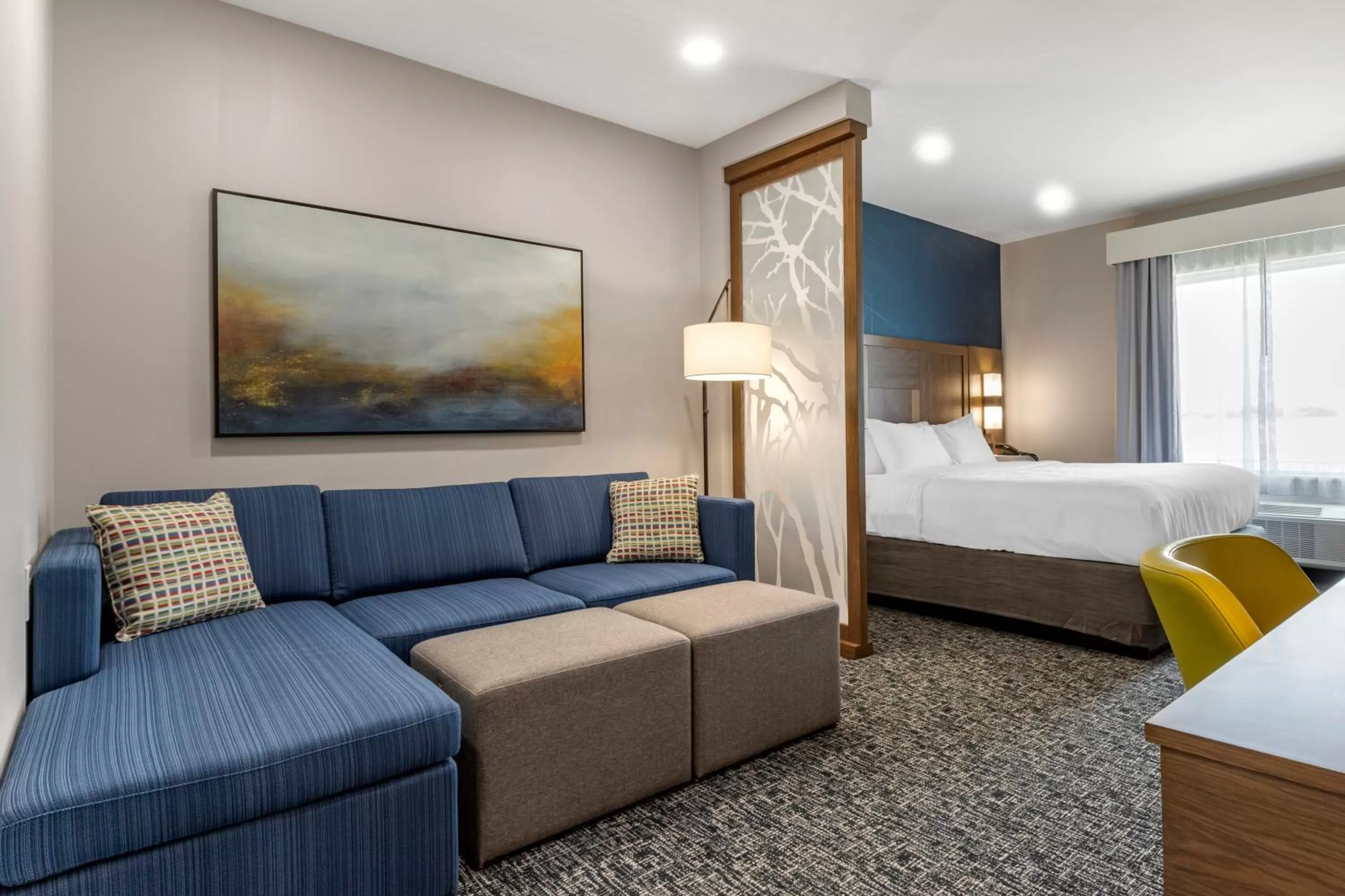 King Suite with Roll-In Shower - Accessible/Non-Smoking in Comfort Suites Greenville Airport