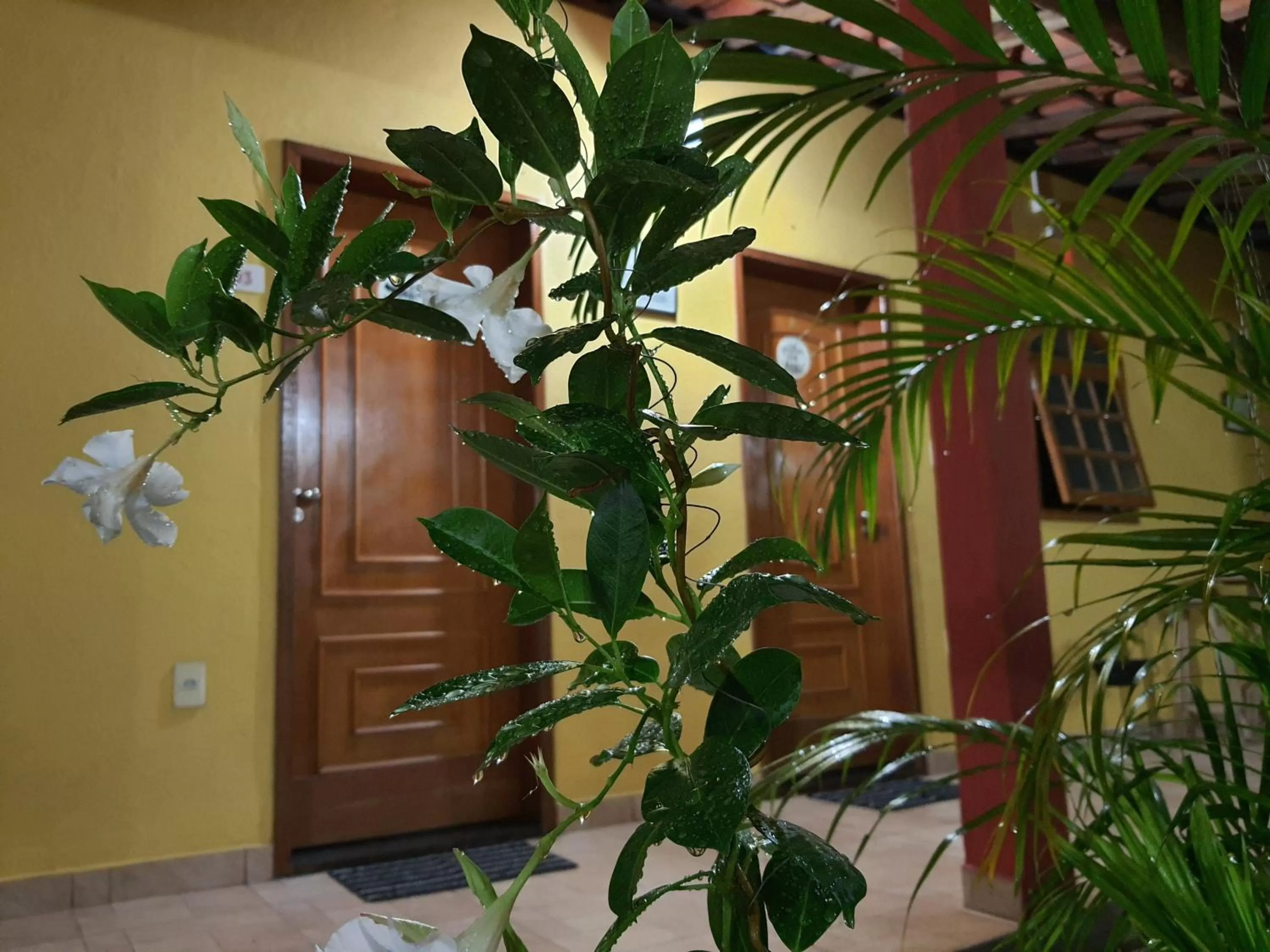 Property building in Pousada Caminho Dos Sinos