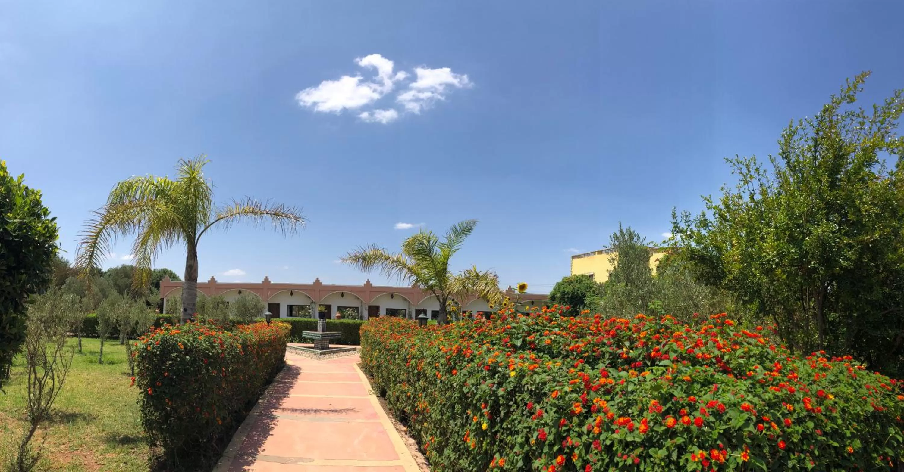 Garden, Property Building in Riad Hamdani
