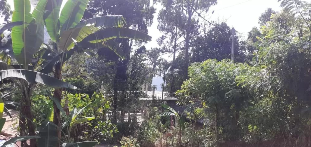 Garden in Littleadems View