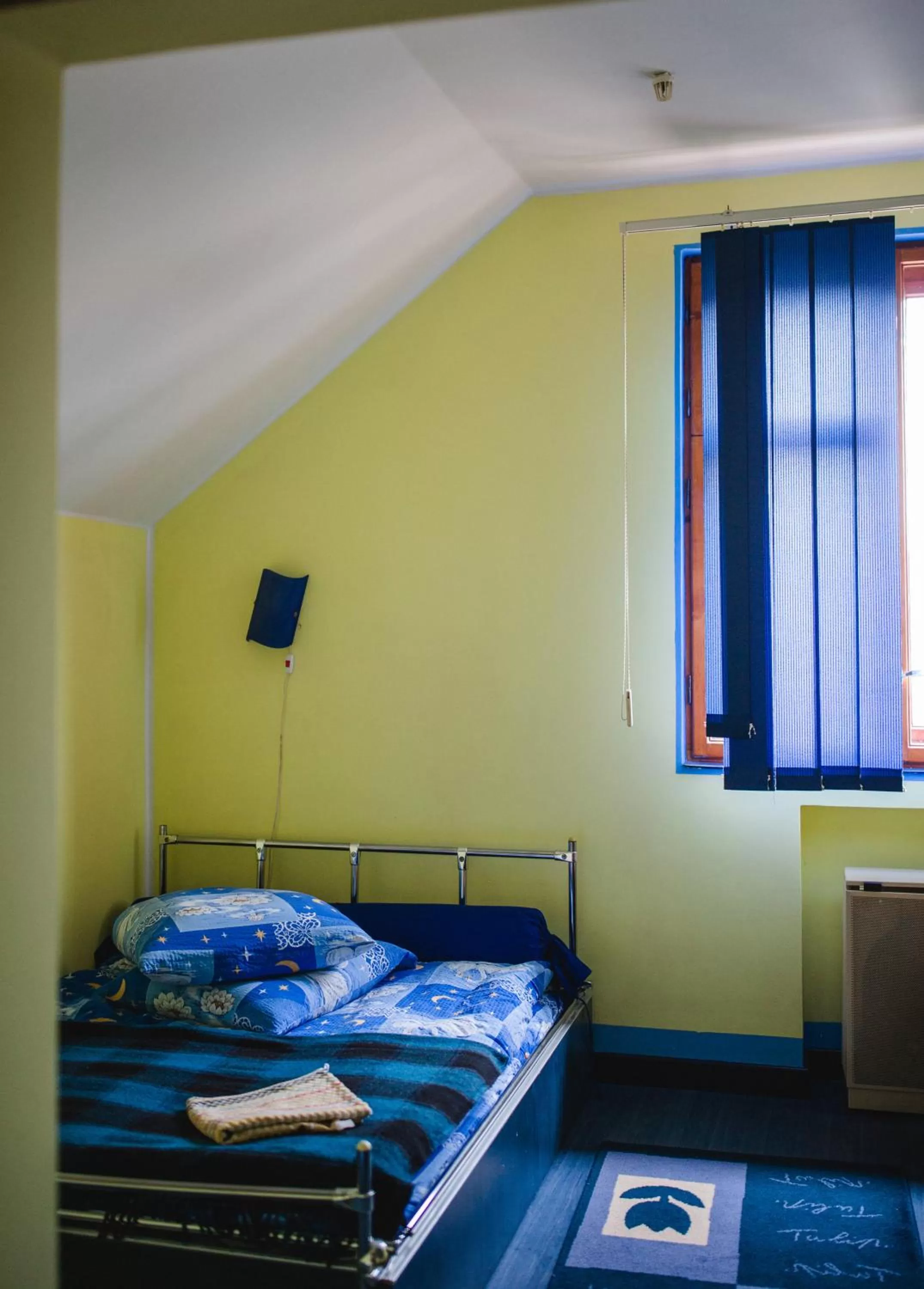 Bed in Kolyba Opryshkiv