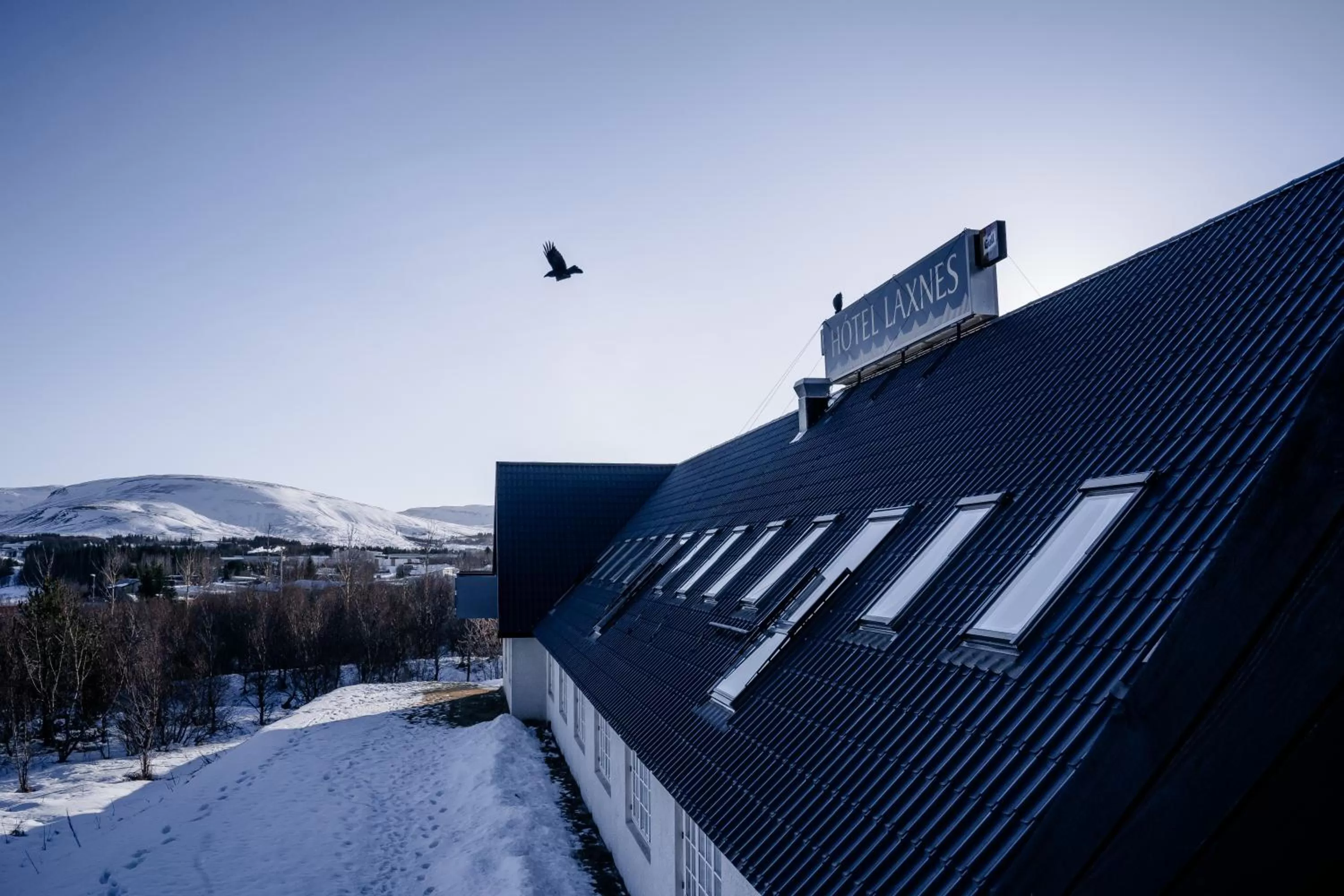 Winter in Hotel Laxnes