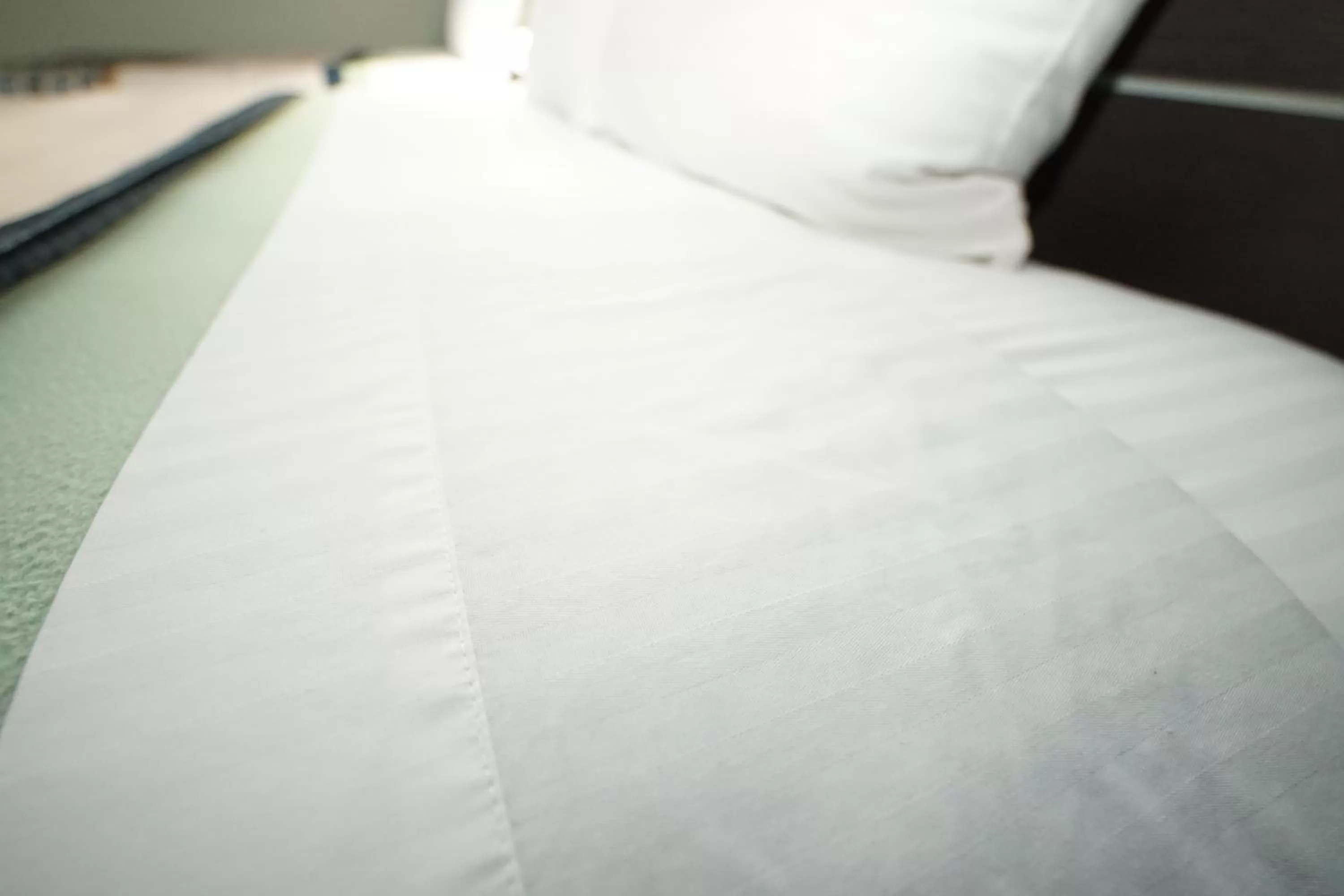 Decorative detail, Bed in Royal Inn Hudson I-94