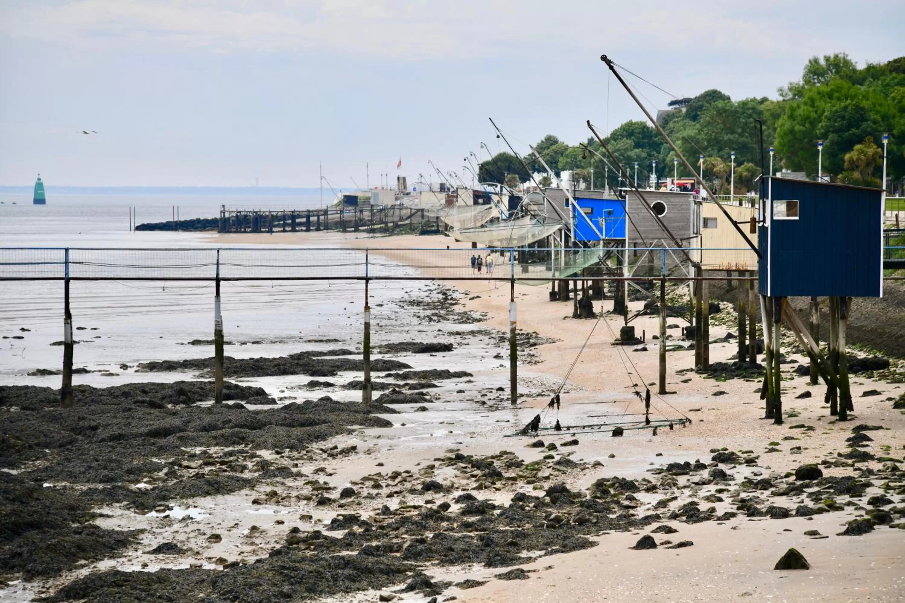 Natural landscape in ibis Styles Saint Nazaire Centre Gare