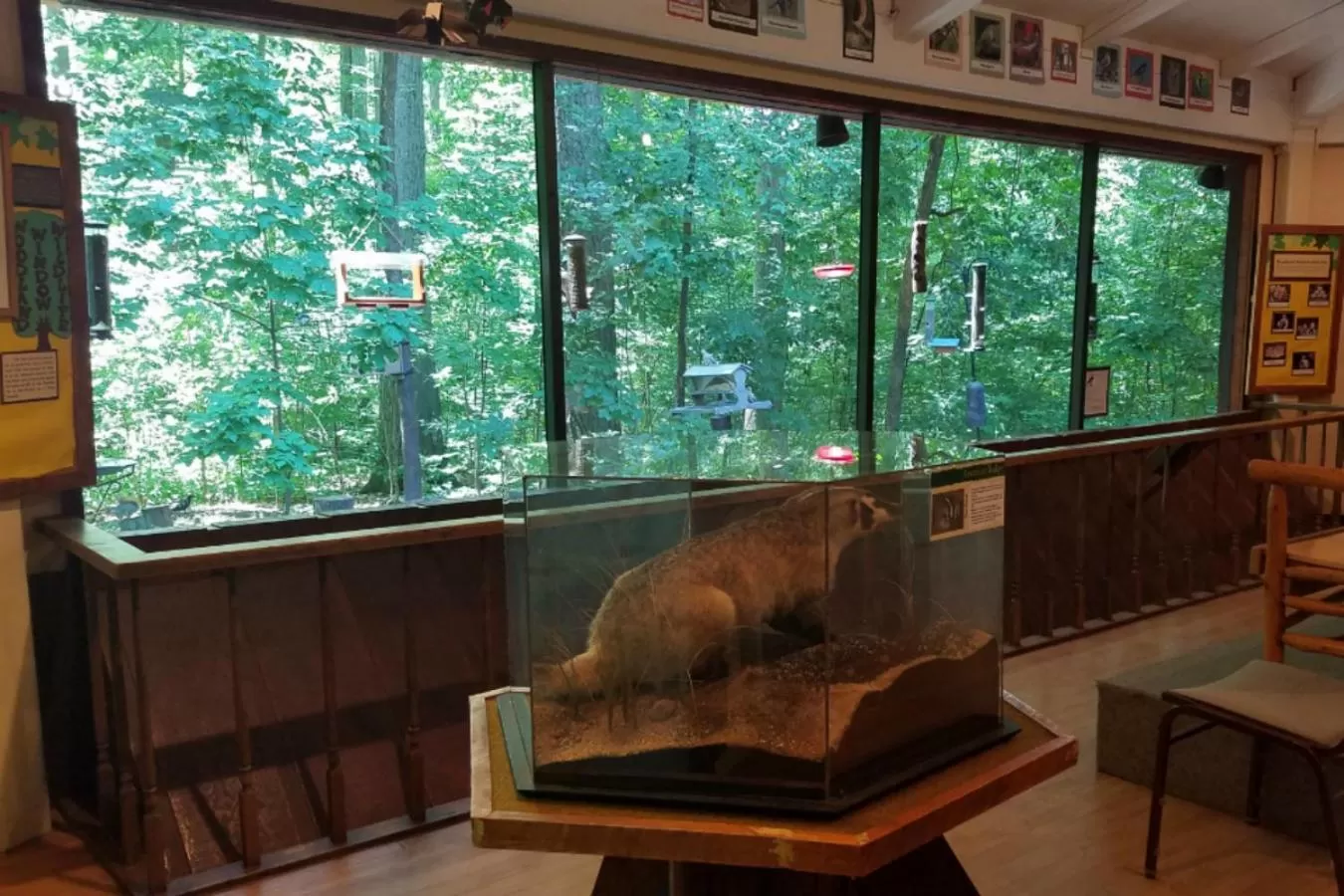 Activities in Potawatomi Inn & Cabins