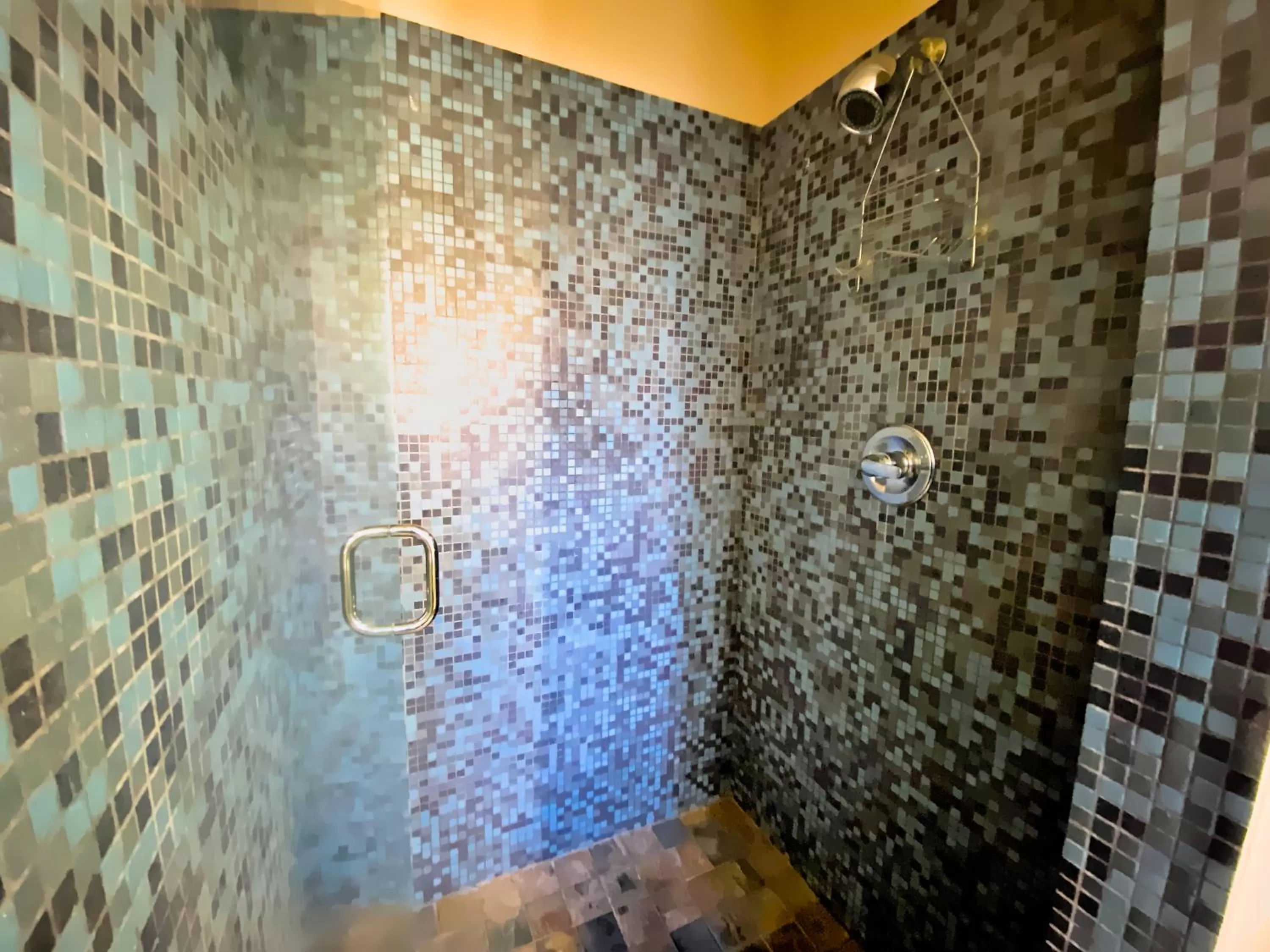 Shower in Ashland Motel - Oregon