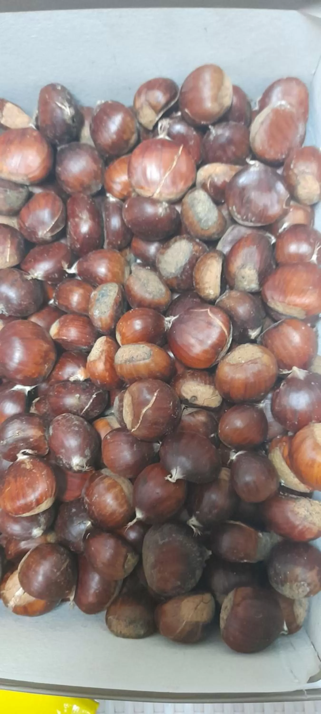 Masseria boutique b&b