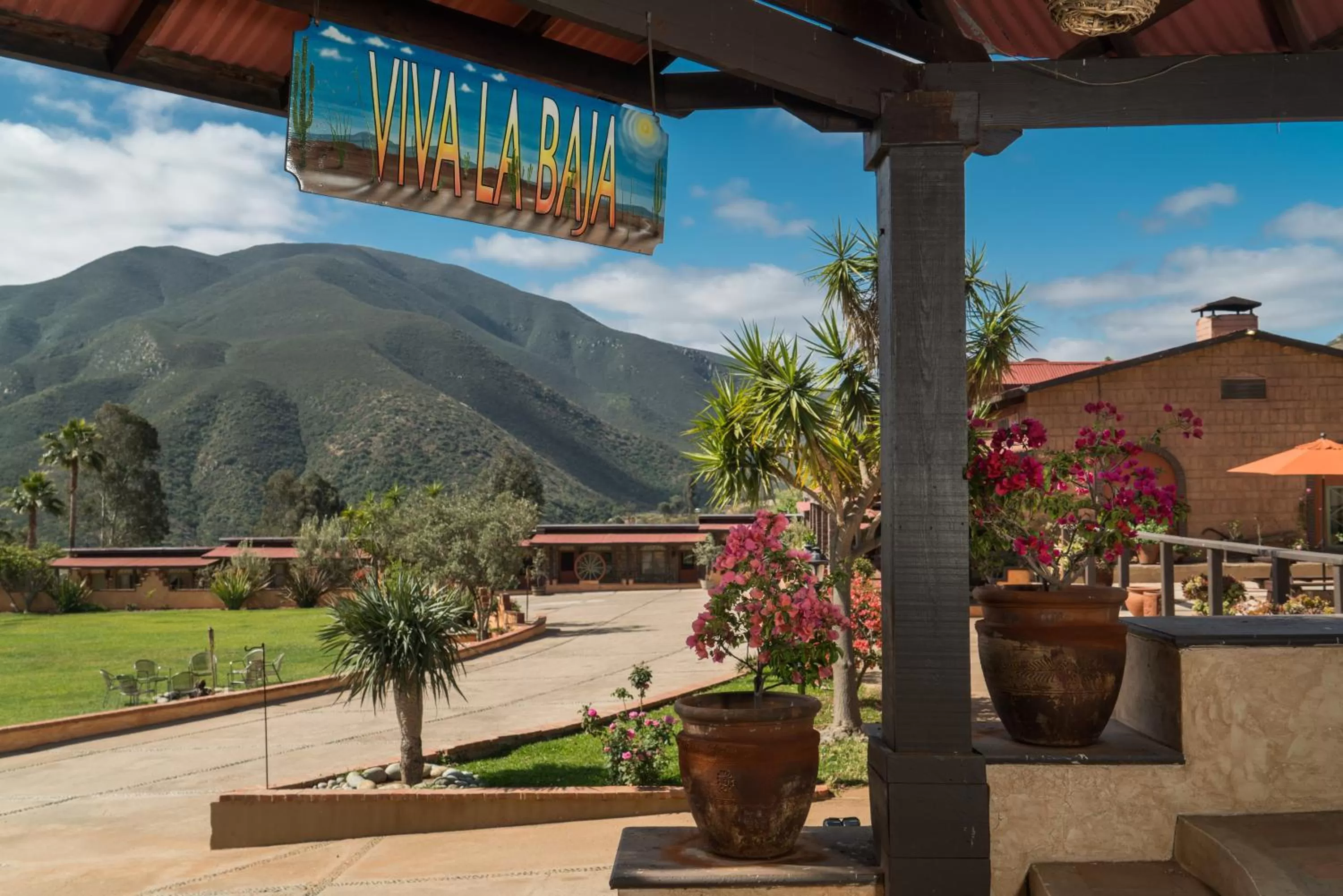 Mountain view in Horsepower Ranch