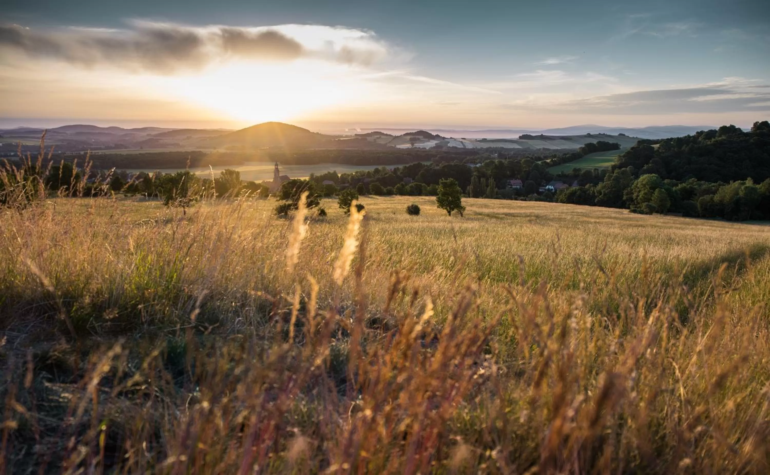 Natural landscape in Waldstrand-Hotel Großschönau