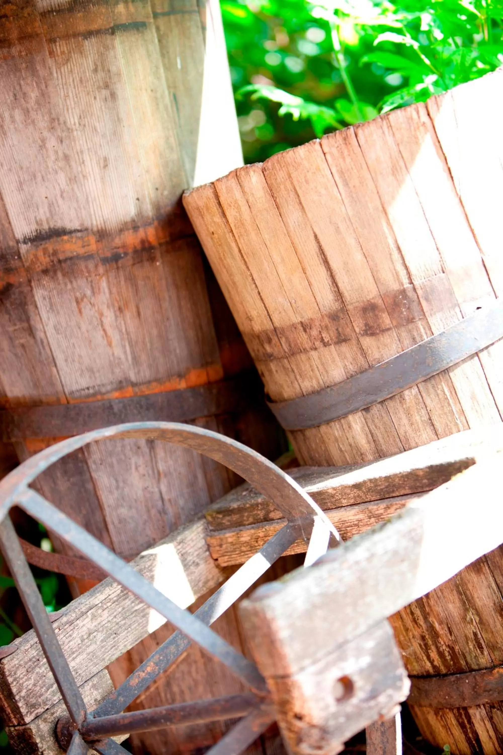 Garden in Naturhotel Holzwurm