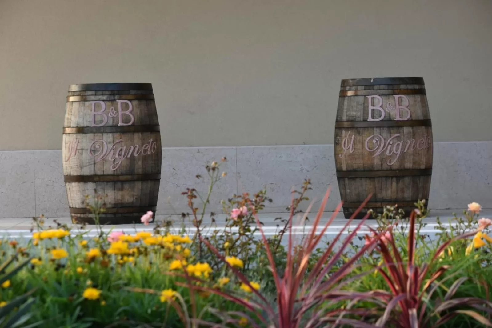 Logo/Certificate/Sign in Il Vigneto