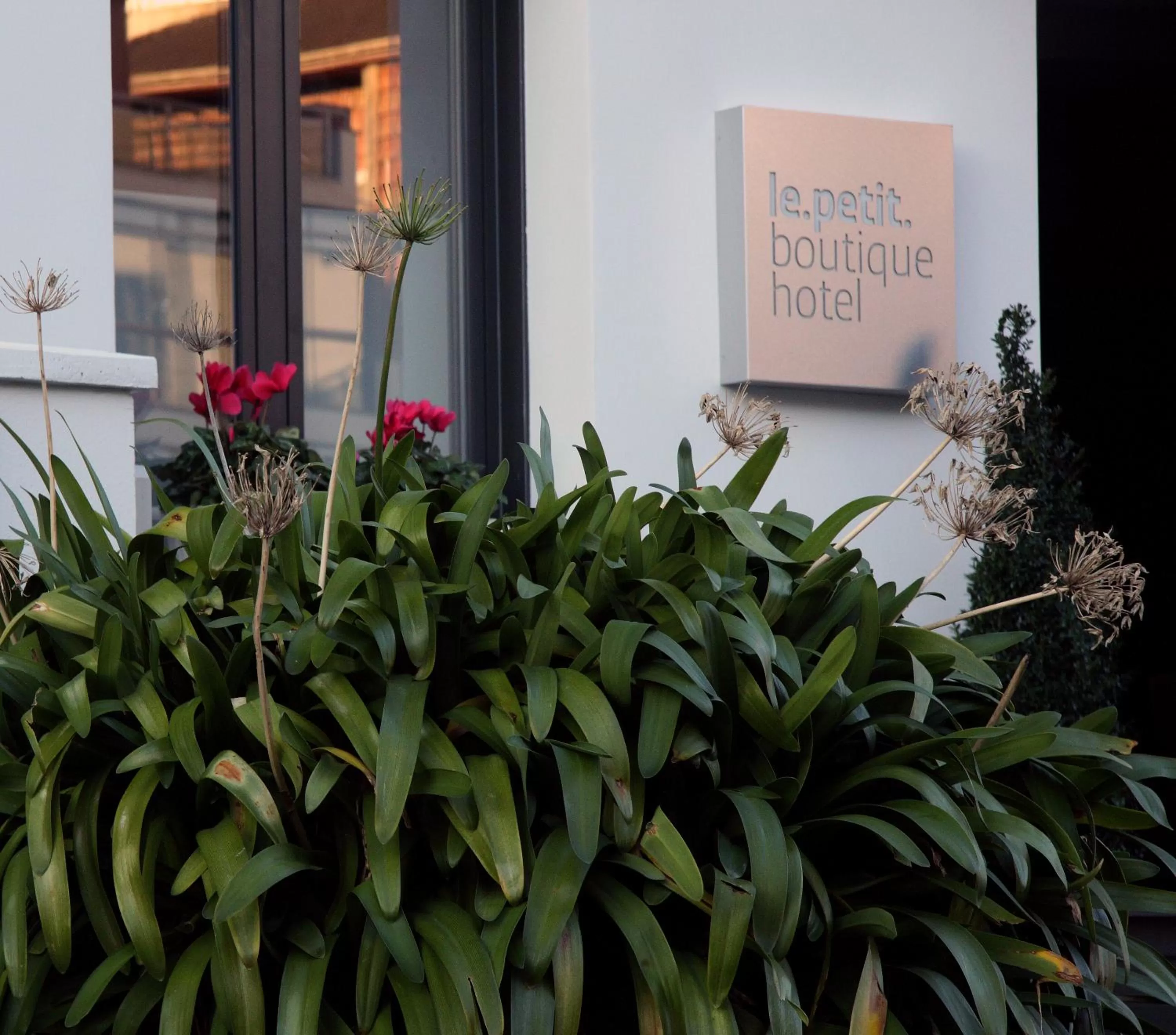 Facade/entrance in Le Petit Boutique Hotel