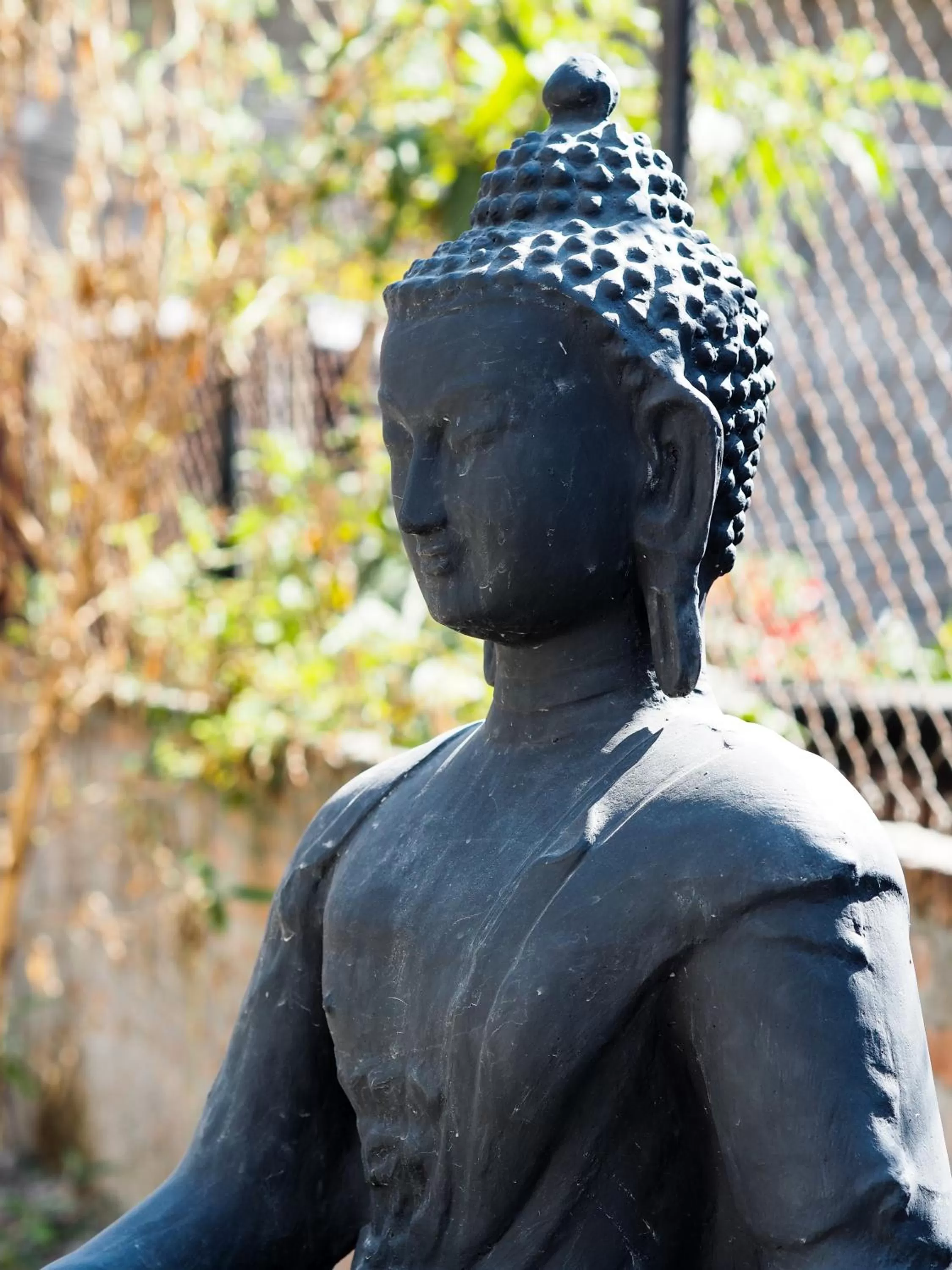 Garden view, Other Animals in Omana Hotel