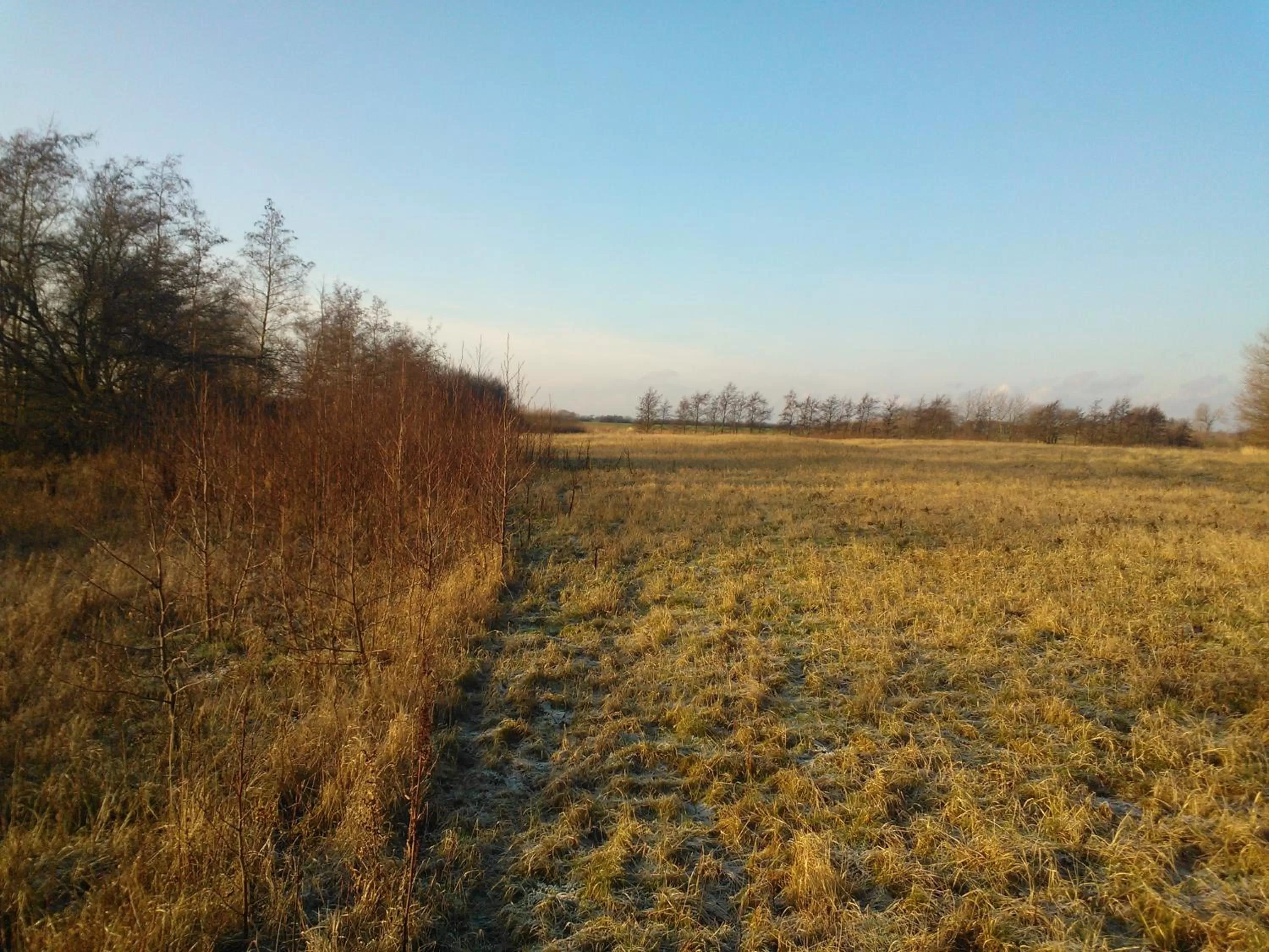 Natural Landscape in Holmehuset Bed & Breakfast