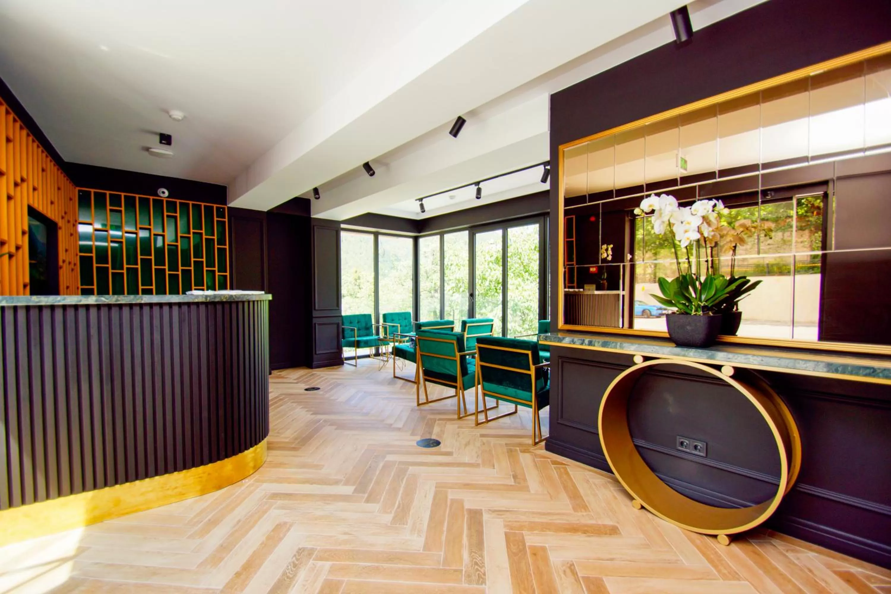 Lobby or reception, Lobby/Reception in Borjomi Bridge Hotel